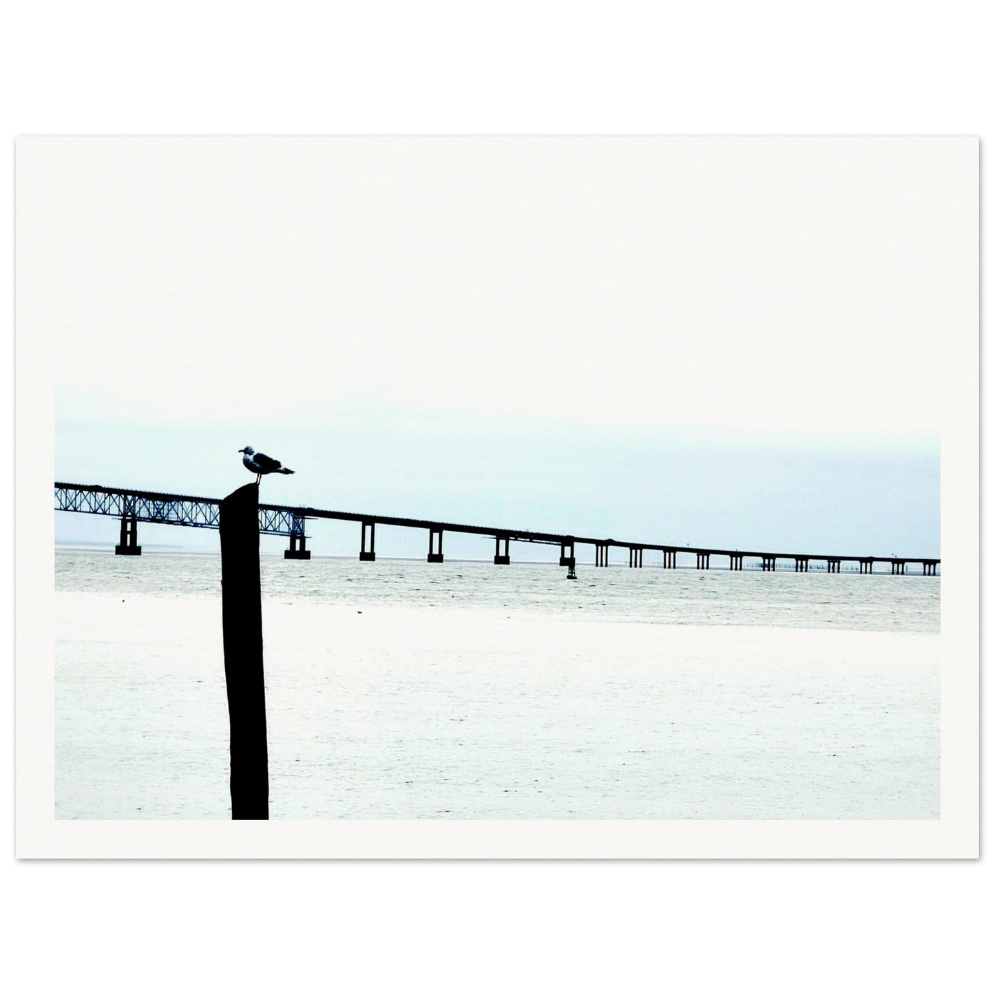 31276df3-a4bd-4fd6-95c1-7ce3719c53c3