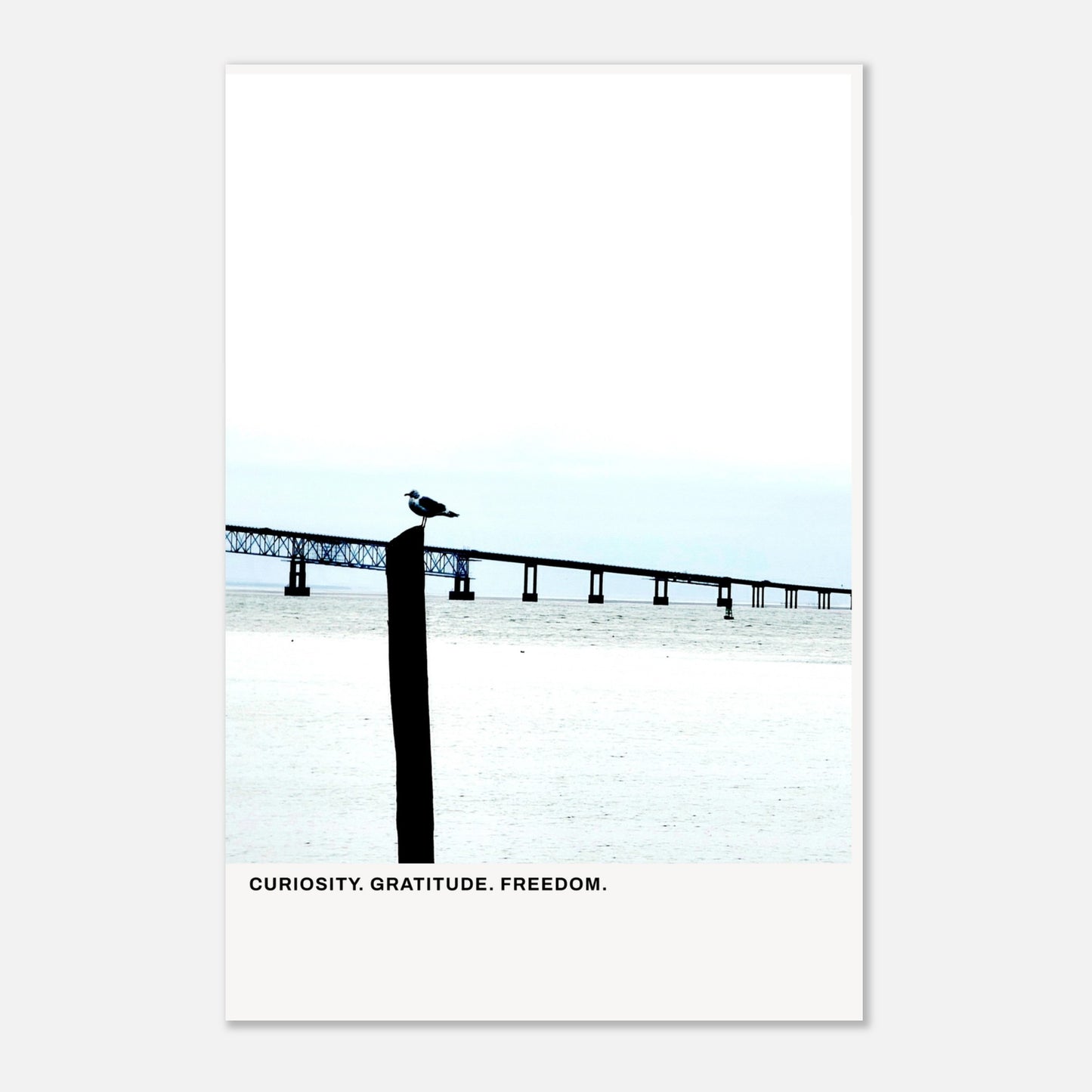 32a469e5-8251-4229-84c6-e136f550e9b0