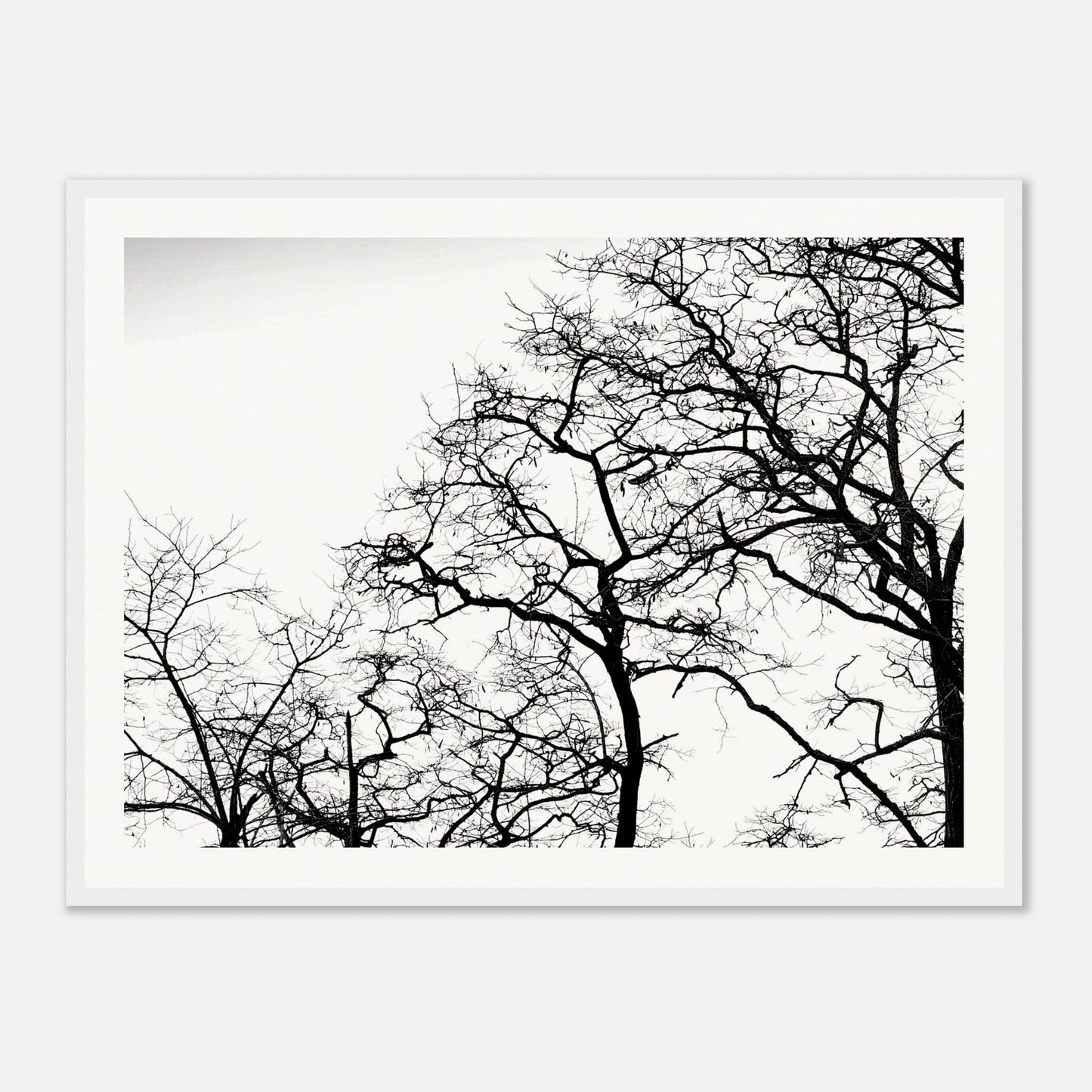 630f3ecc-2228-410a-a8a6-a6f4a61e5fd2