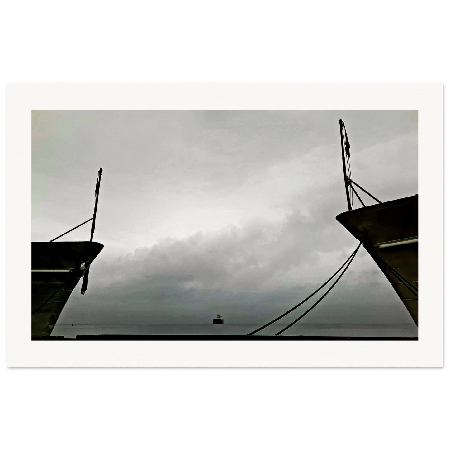 8fd65c05-cc5d-4e04-8d62-3834d78d0b27