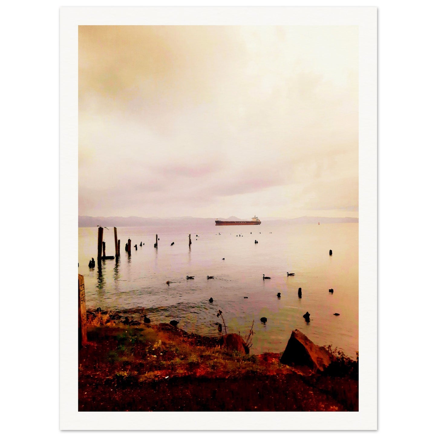 0227665f-2954-458e-8efa-7ae5e03c6cba