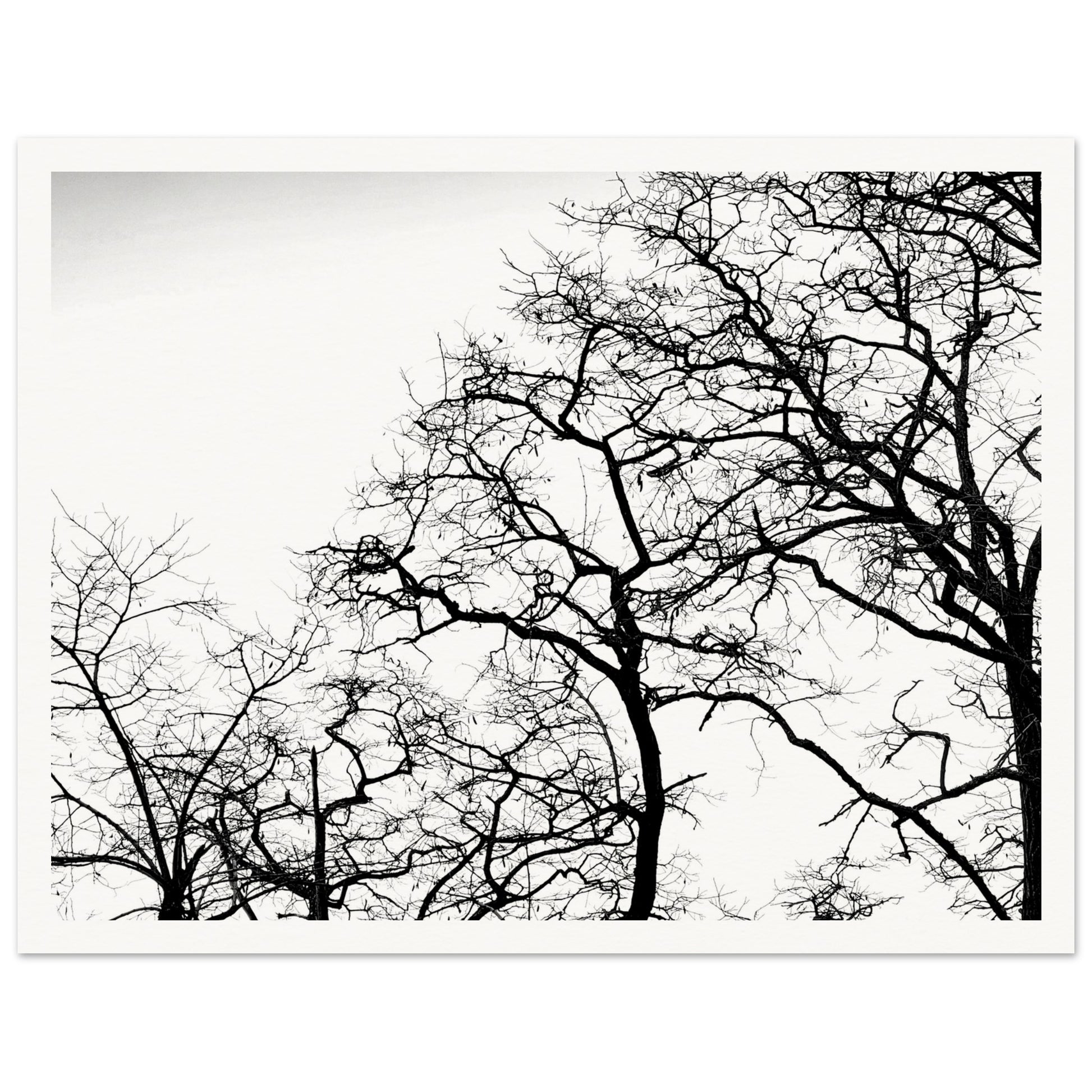 0436ba7e-7984-4a04-830e-922b2290ea1b