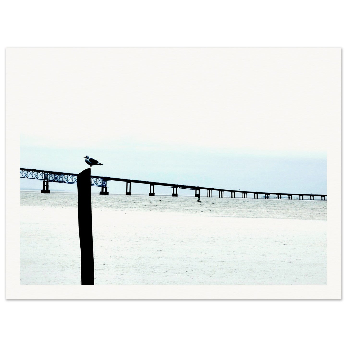 04432e58-35ae-4795-8ea5-7322c7870918