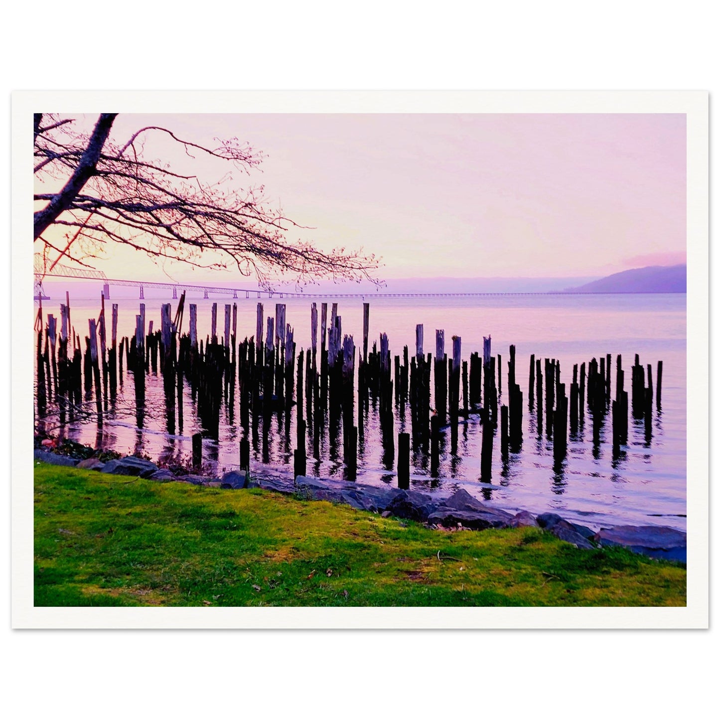 061d76a4-75d2-4c99-9cb9-9c7785f7bc52