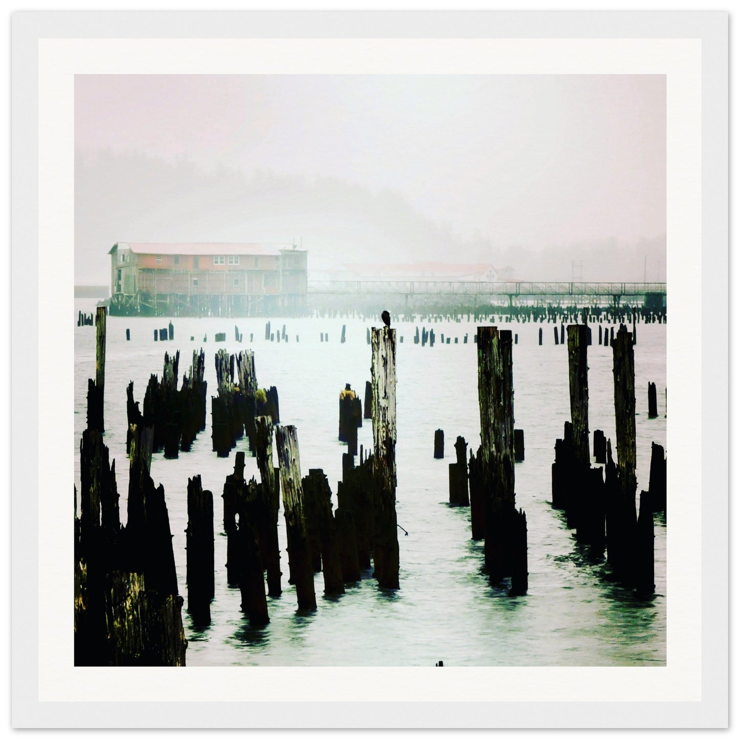 09c0b944-ee2a-4556-a7d6-4ce8fe54a0e8