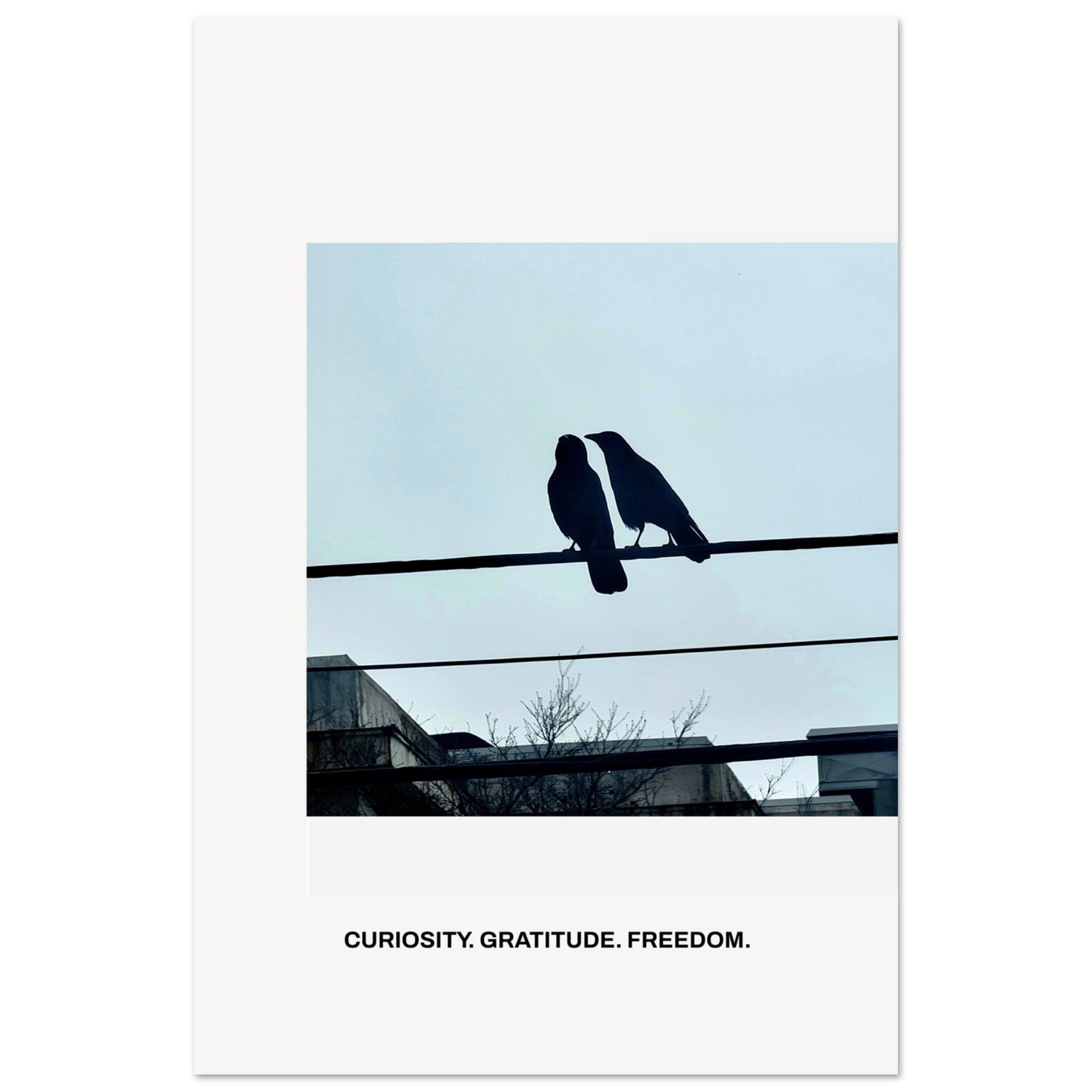 0c3fd682-abd0-4817-905e-044f1d7a66d3