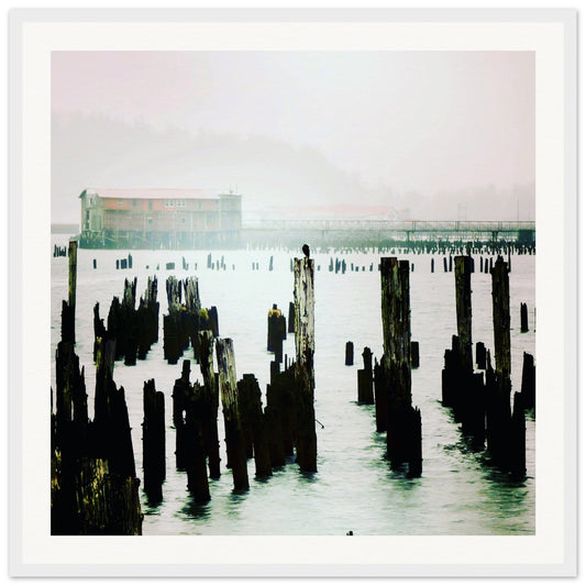 0d48c74a-ab01-446a-84a4-fc2cc0ed7b55