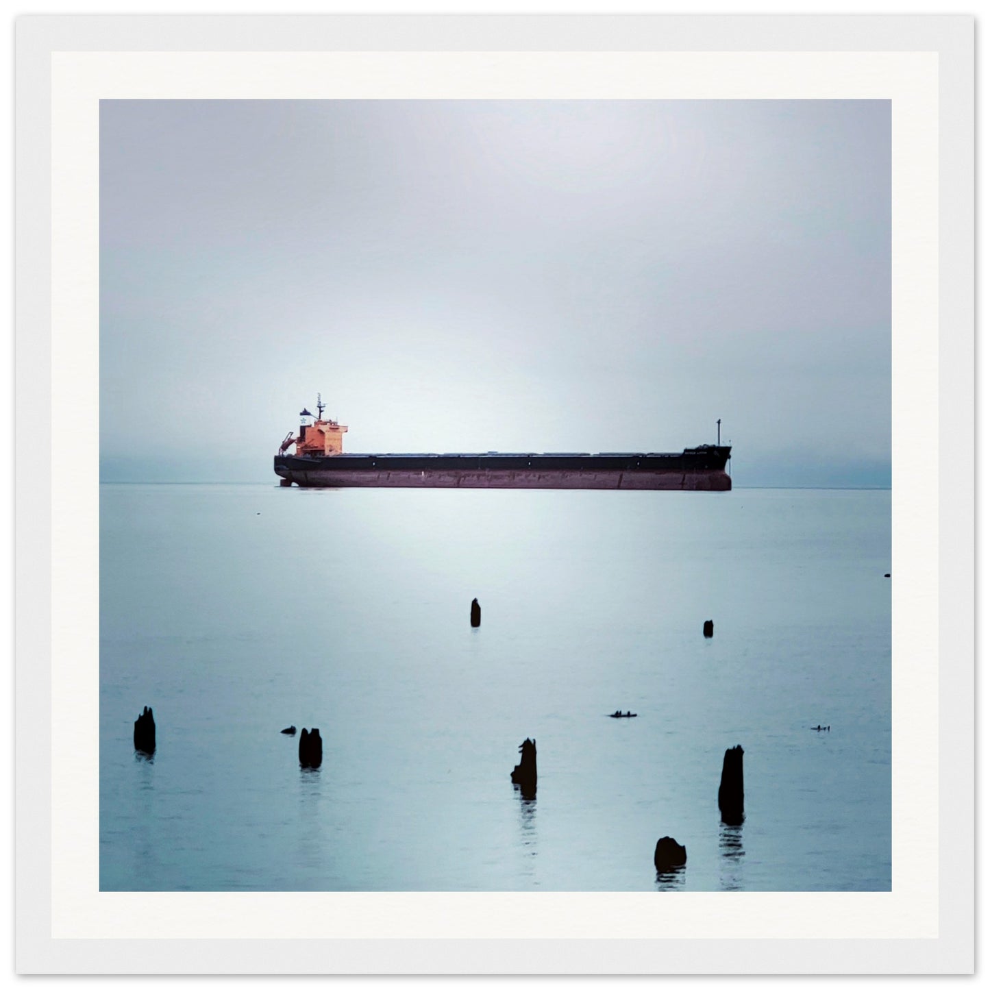 13c79b8a-ca2c-4fb6-886d-c21bba1b387a