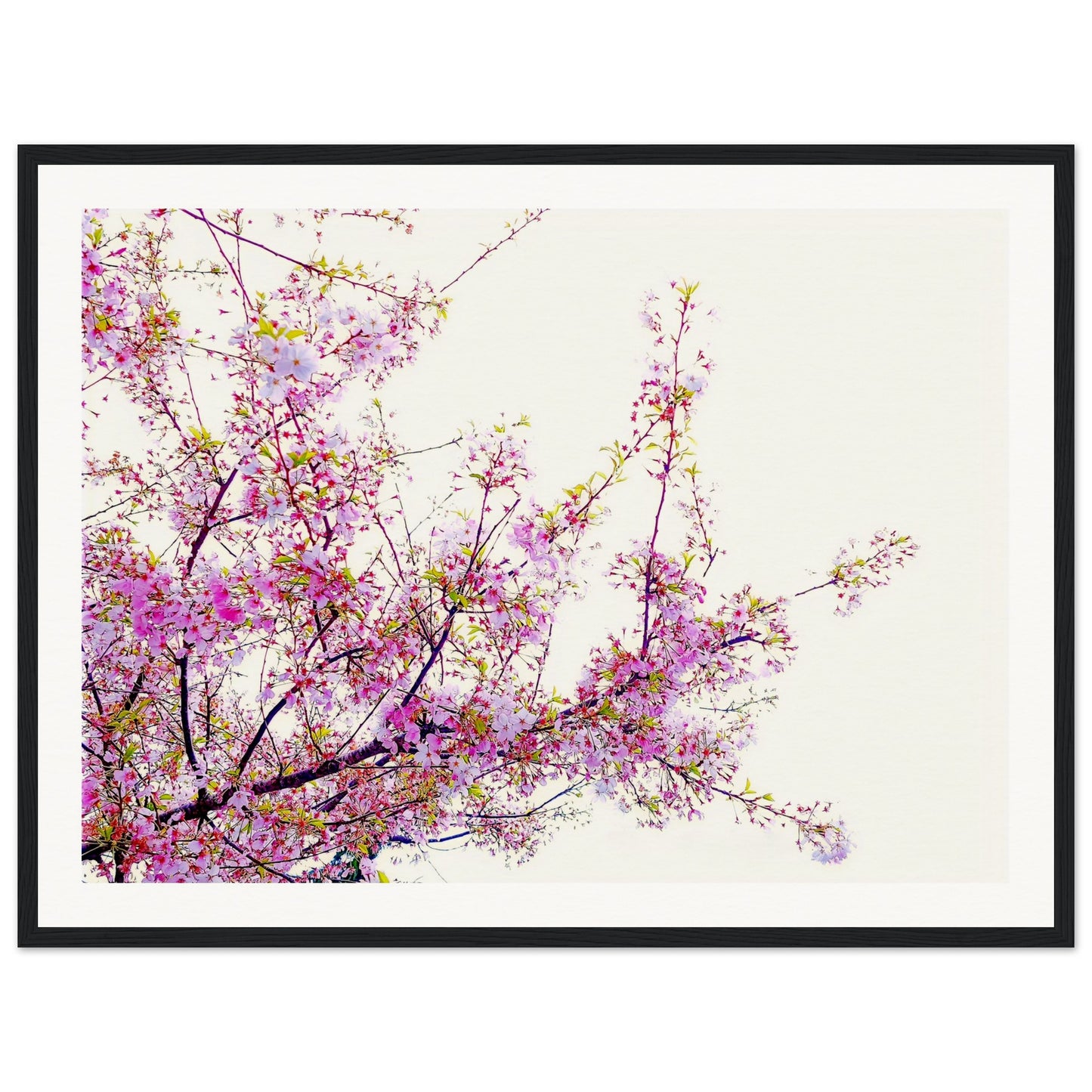 17f78c42-257d-4b72-9eb6-e029150ae915