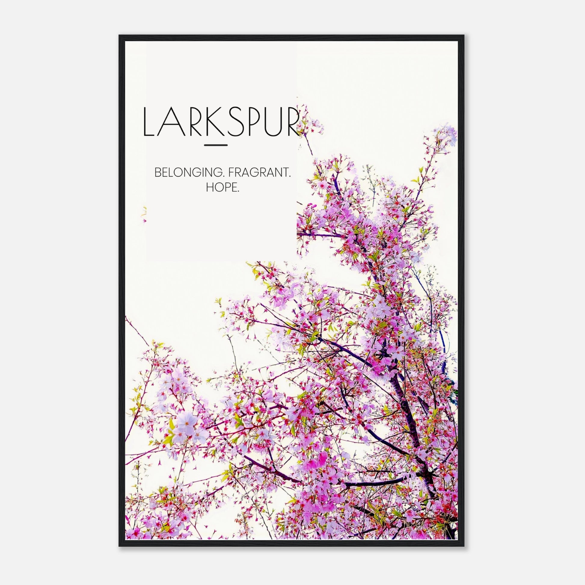 1921832f-edb1-46d3-a04c-9e2078926b57