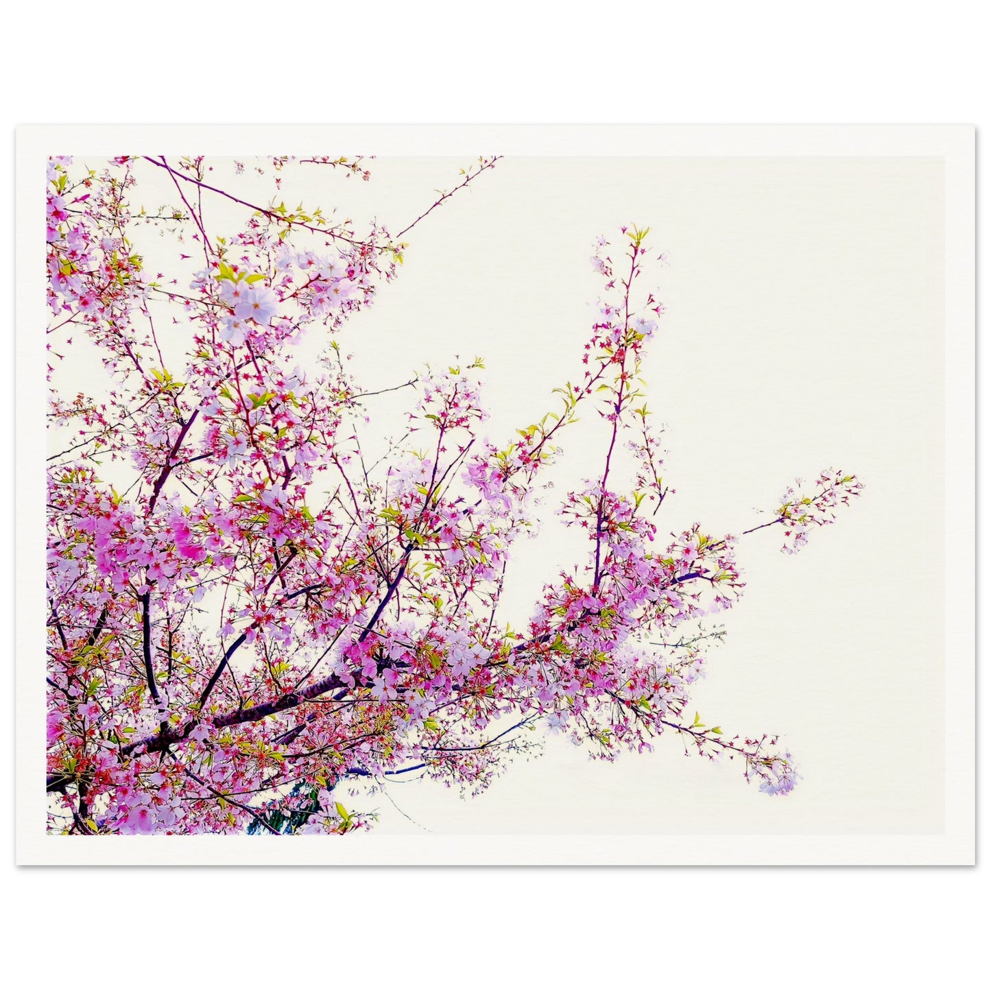 213a486d-6409-49ae-aa05-7efe9dc3cf71