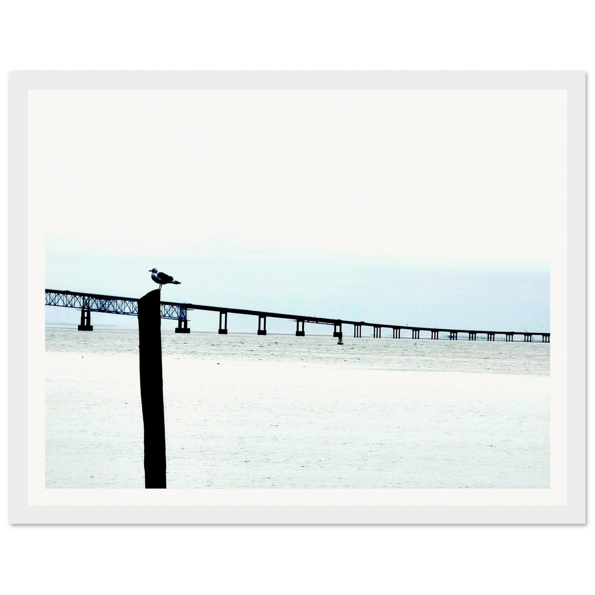 31bccd1f-bcd4-4418-b871-494951006d75