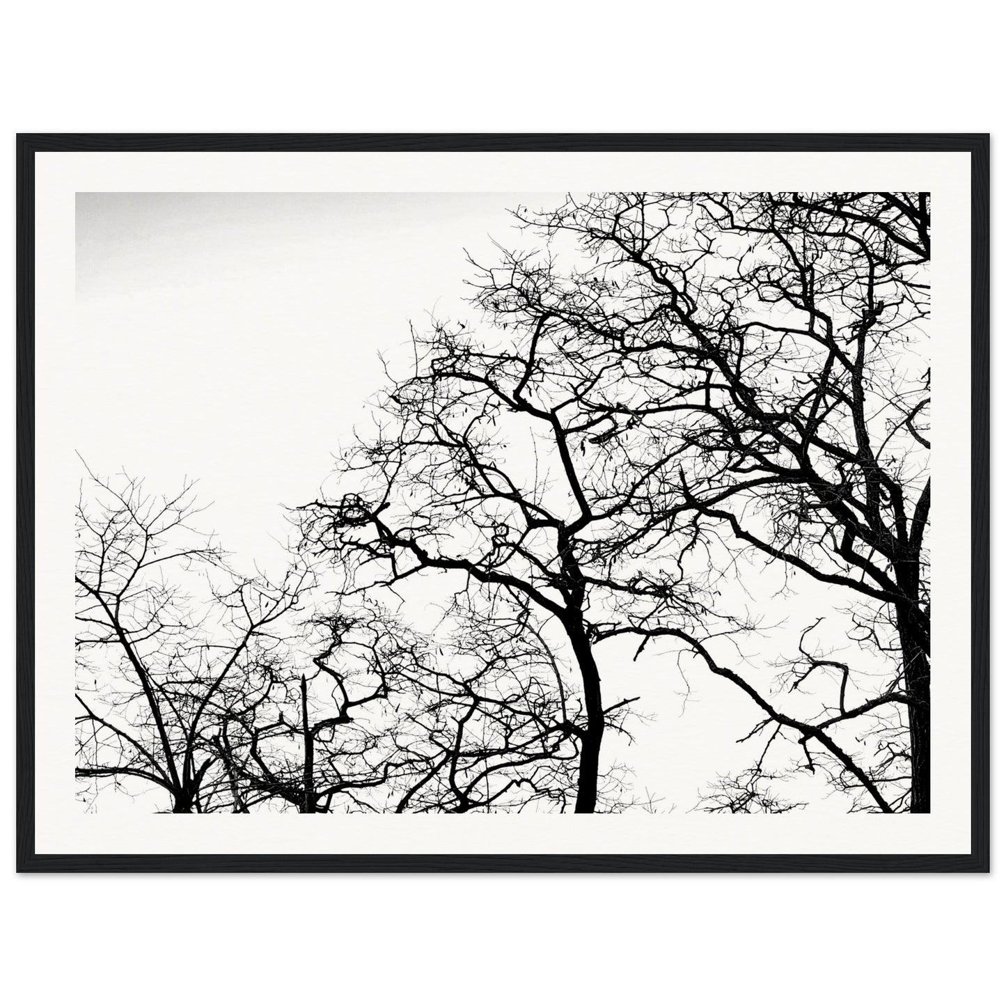 3e9de1b2-bf72-477b-a239-fbda7b5a6c0f