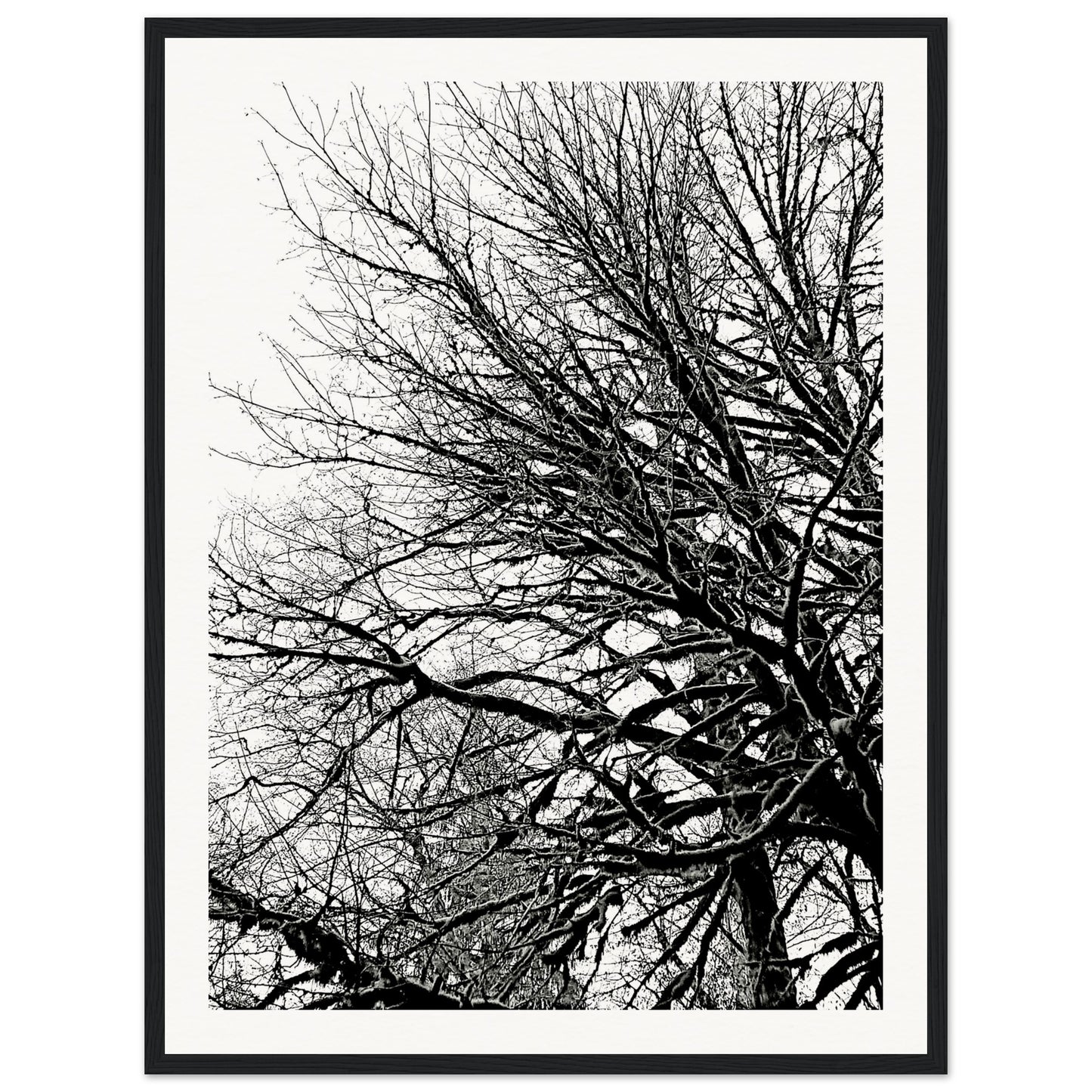 41351e65-d5bc-4db5-92e5-ed66988524ed