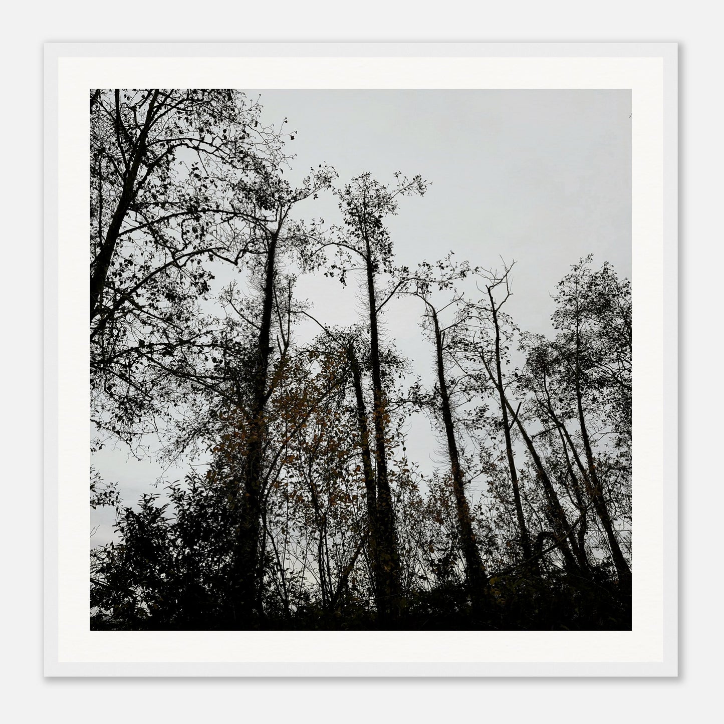 441a7b40-84a9-4c2f-add8-fc6bf7a7b615