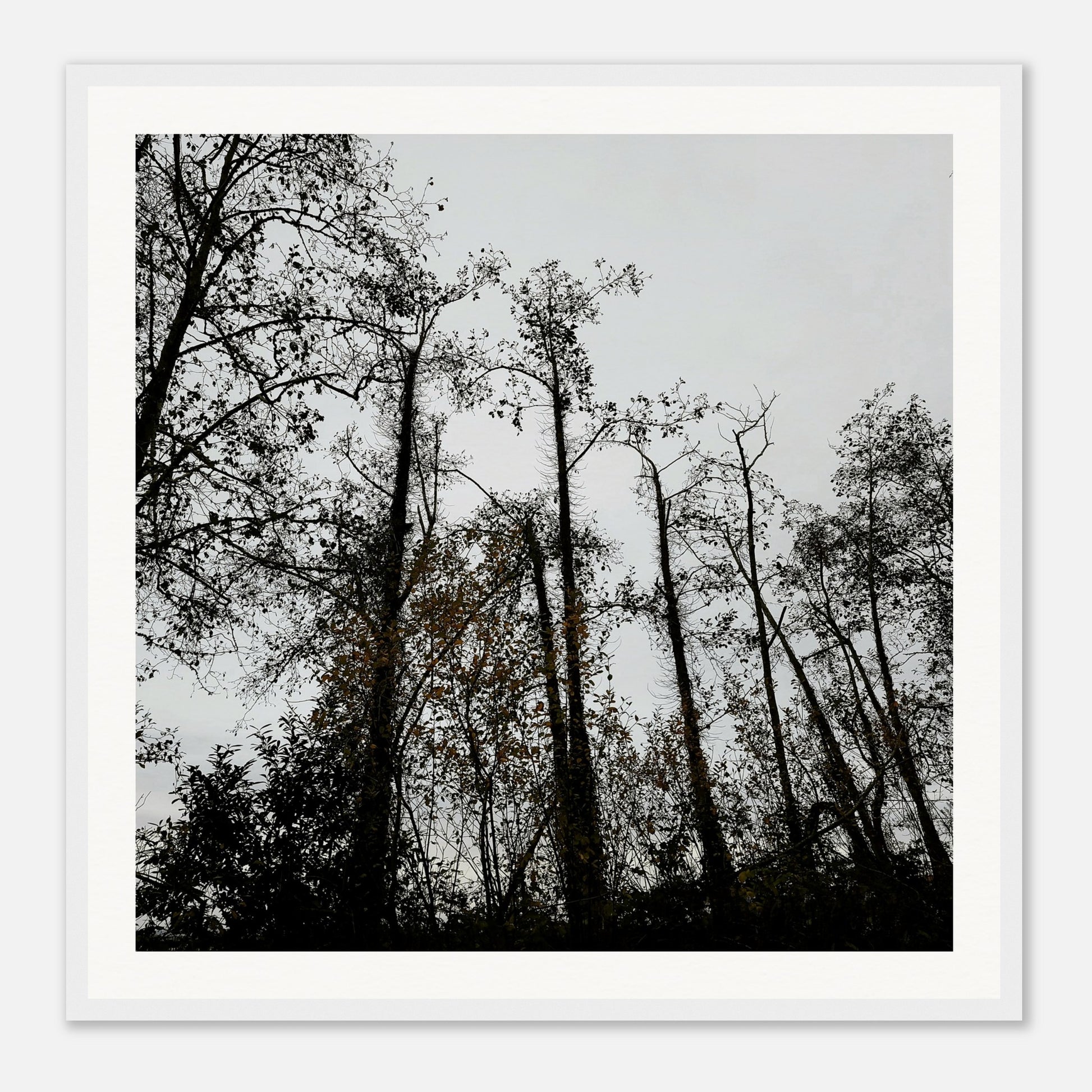 441a7b40-84a9-4c2f-add8-fc6bf7a7b615