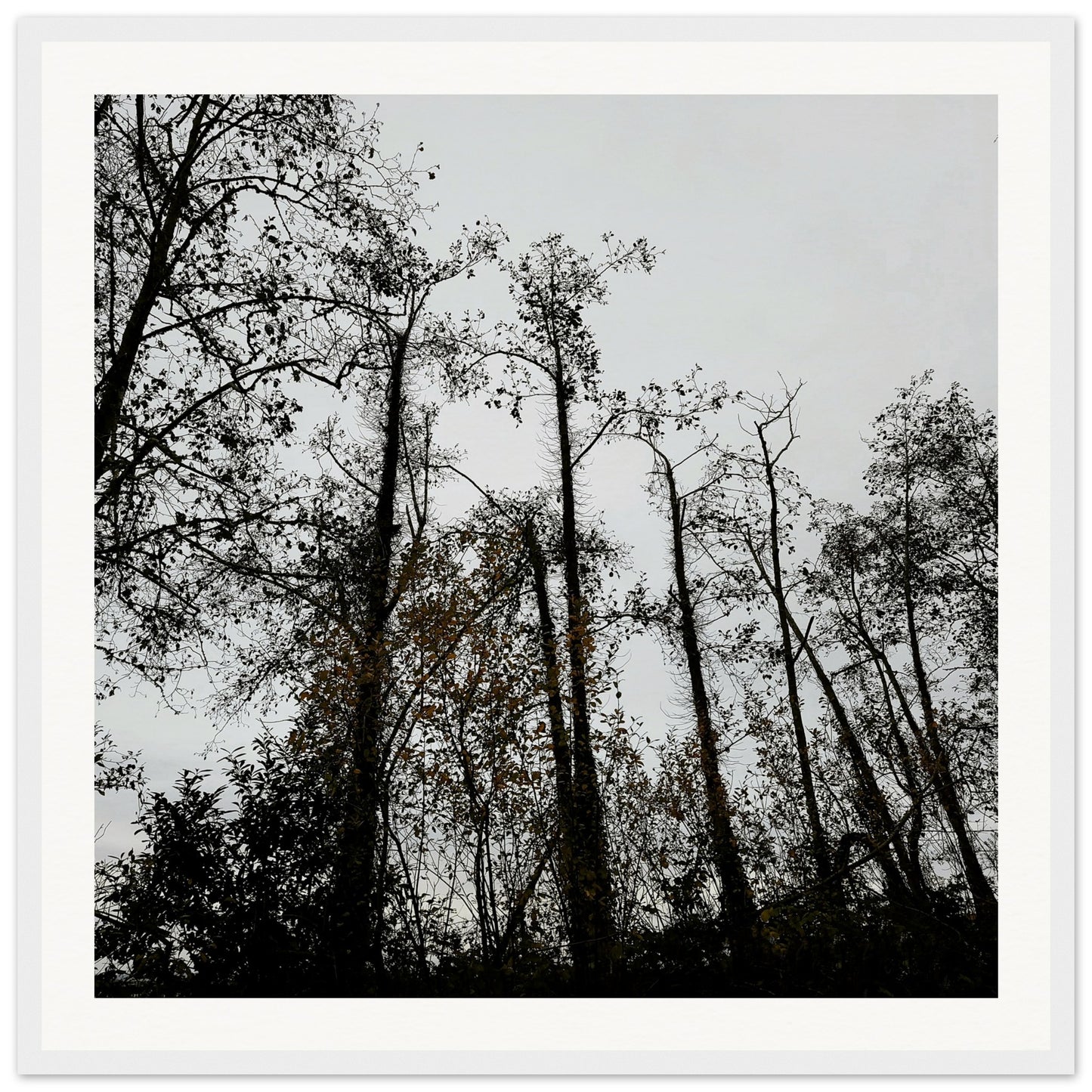 48ac2323-8612-4444-947c-75535aeb6491