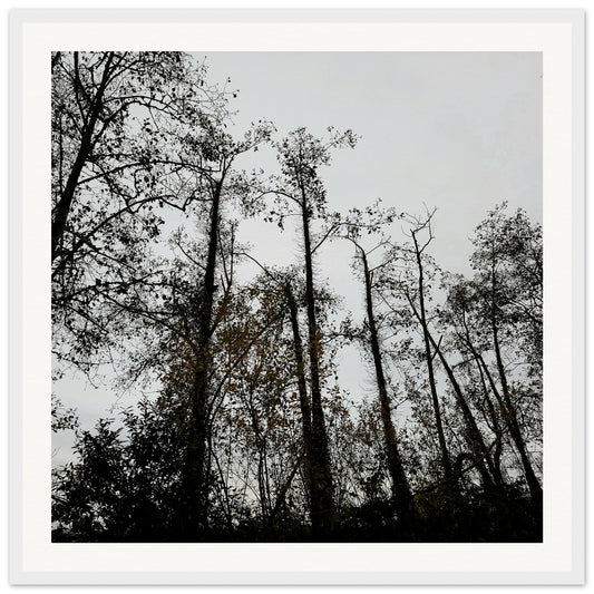 48ac2323-8612-4444-947c-75535aeb6491