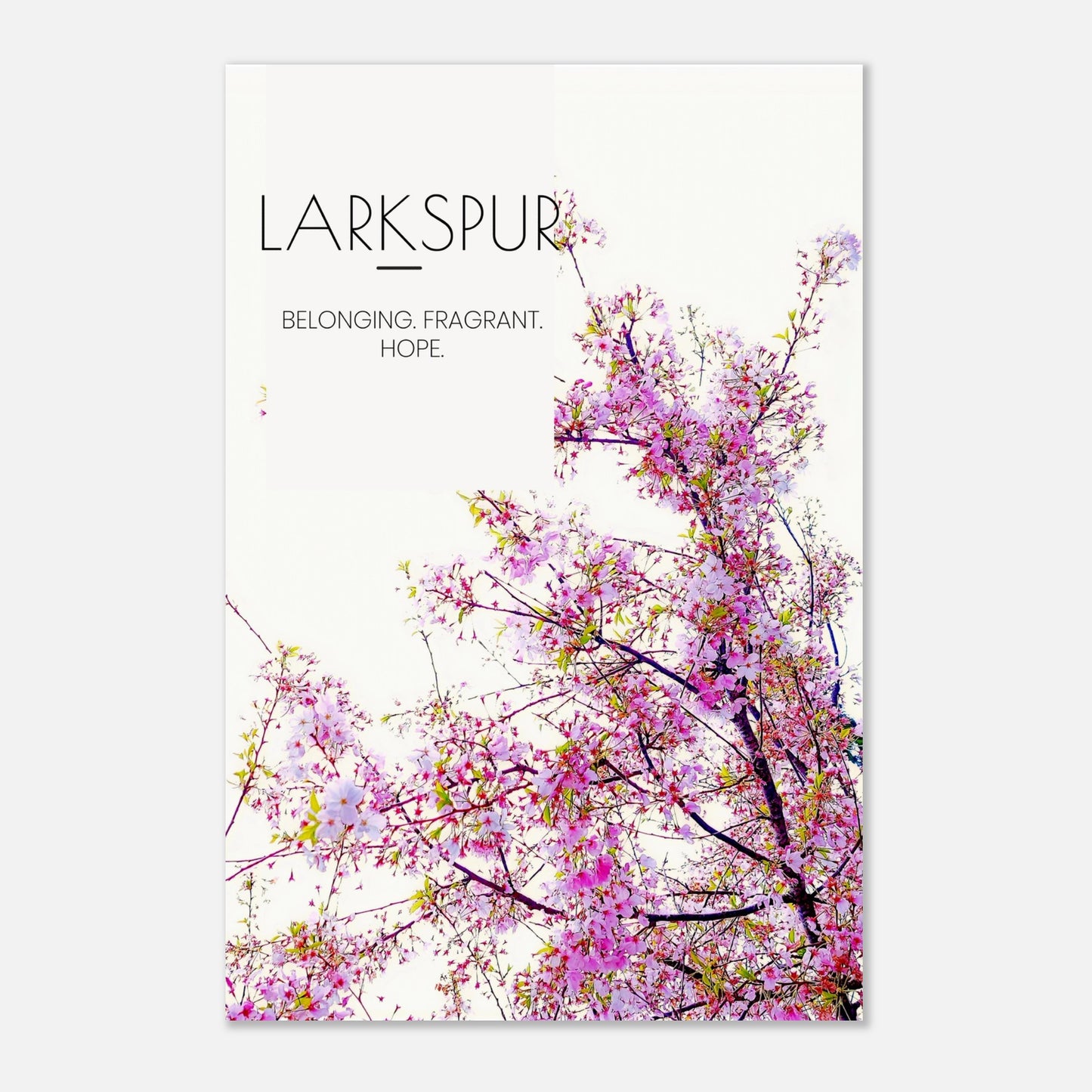 59022954-c55e-4147-a6a5-ec00eff0f323