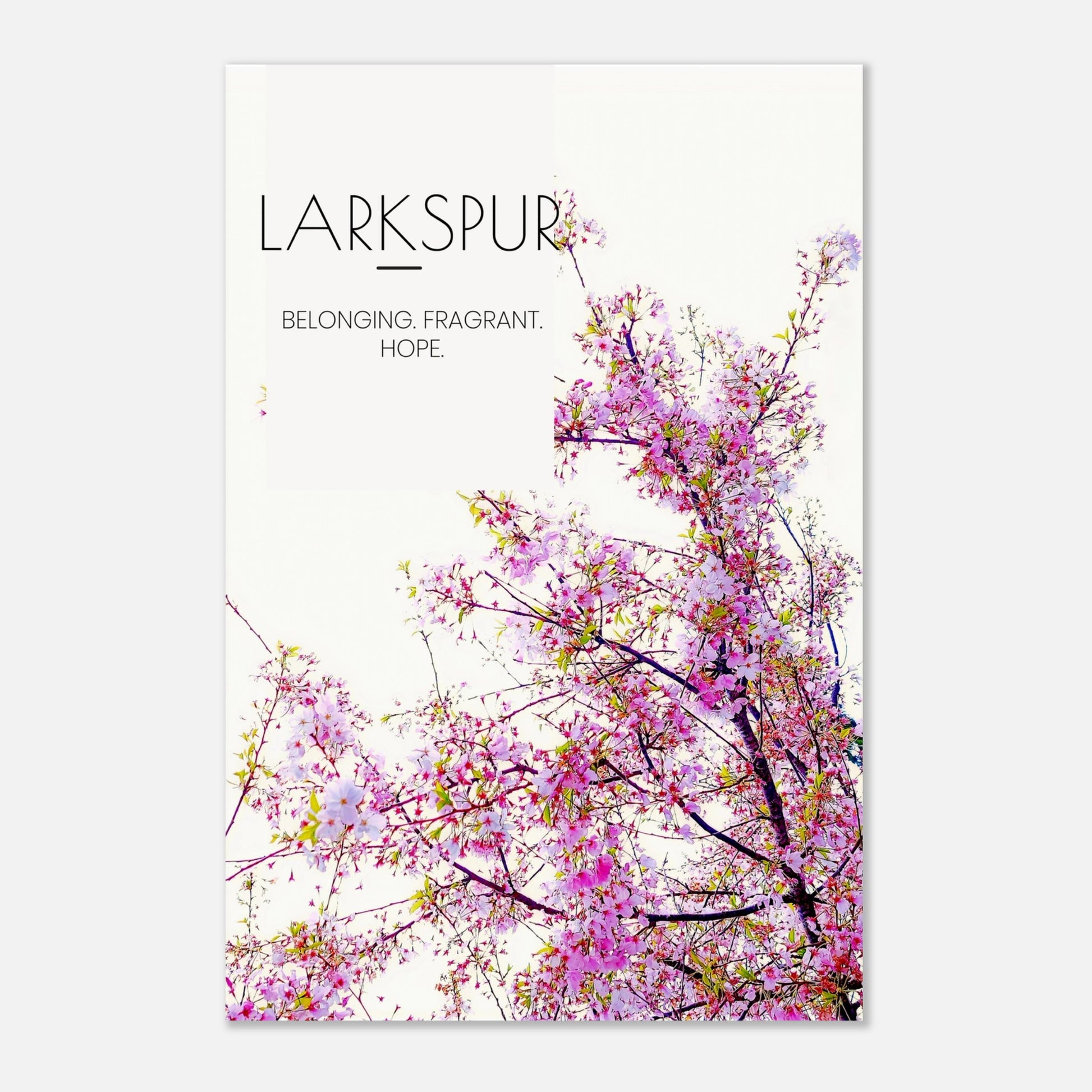 59022954-c55e-4147-a6a5-ec00eff0f323