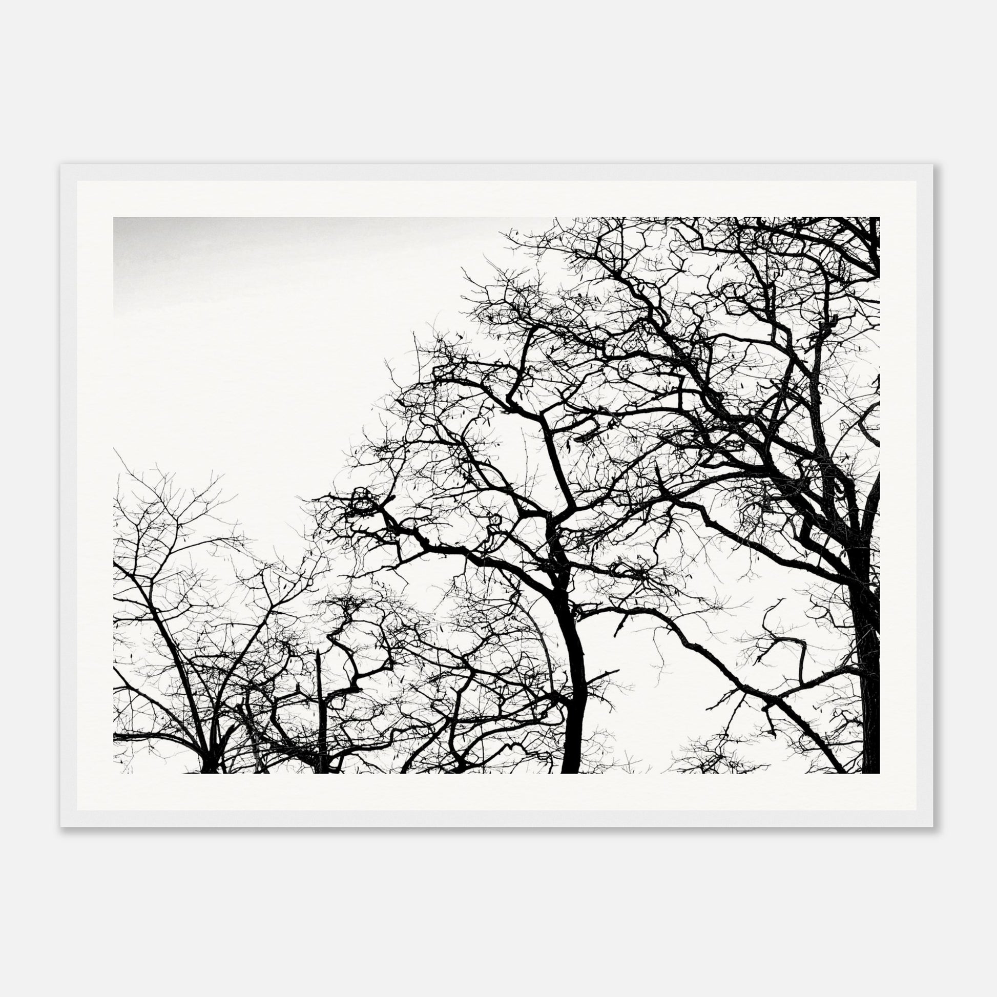 630f3ecc-2228-410a-a8a6-a6f4a61e5fd2