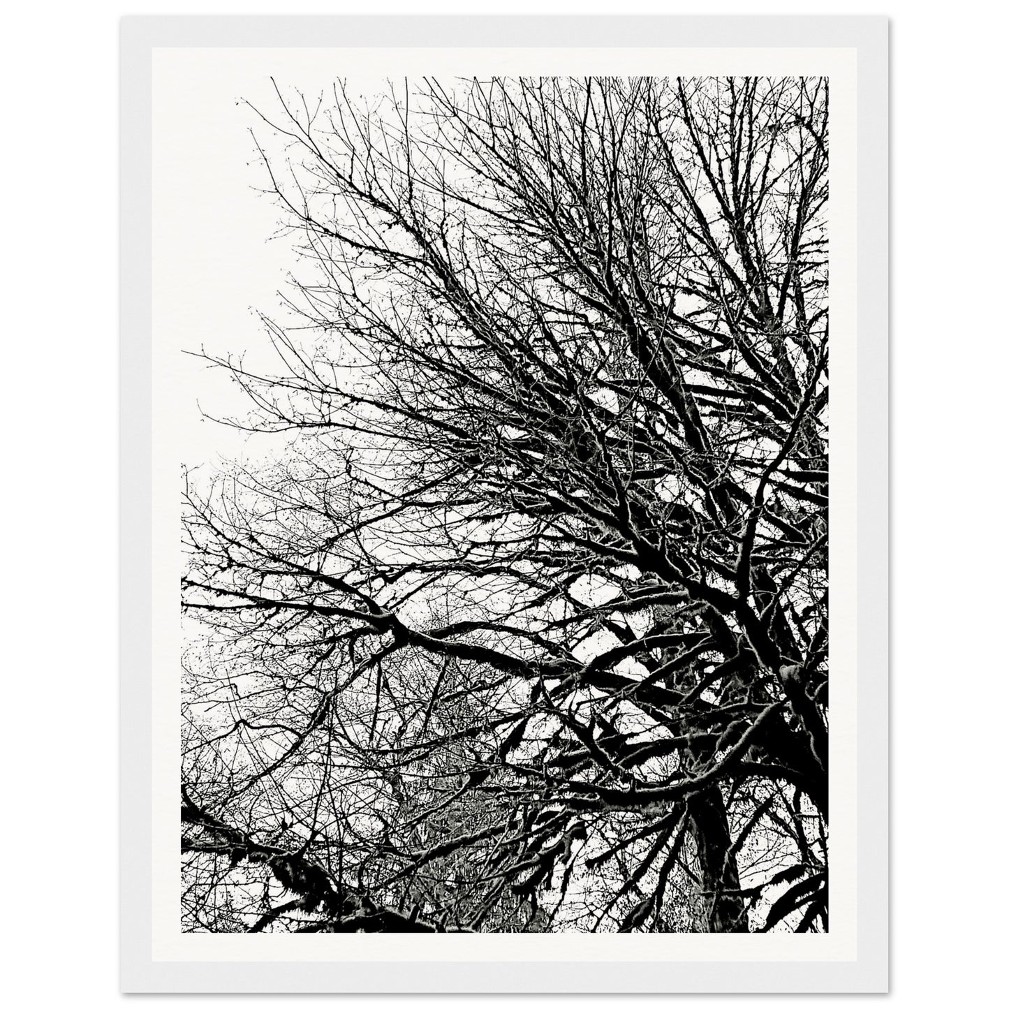 67fc4167-f586-45f0-a9cc-78559b3de6a3