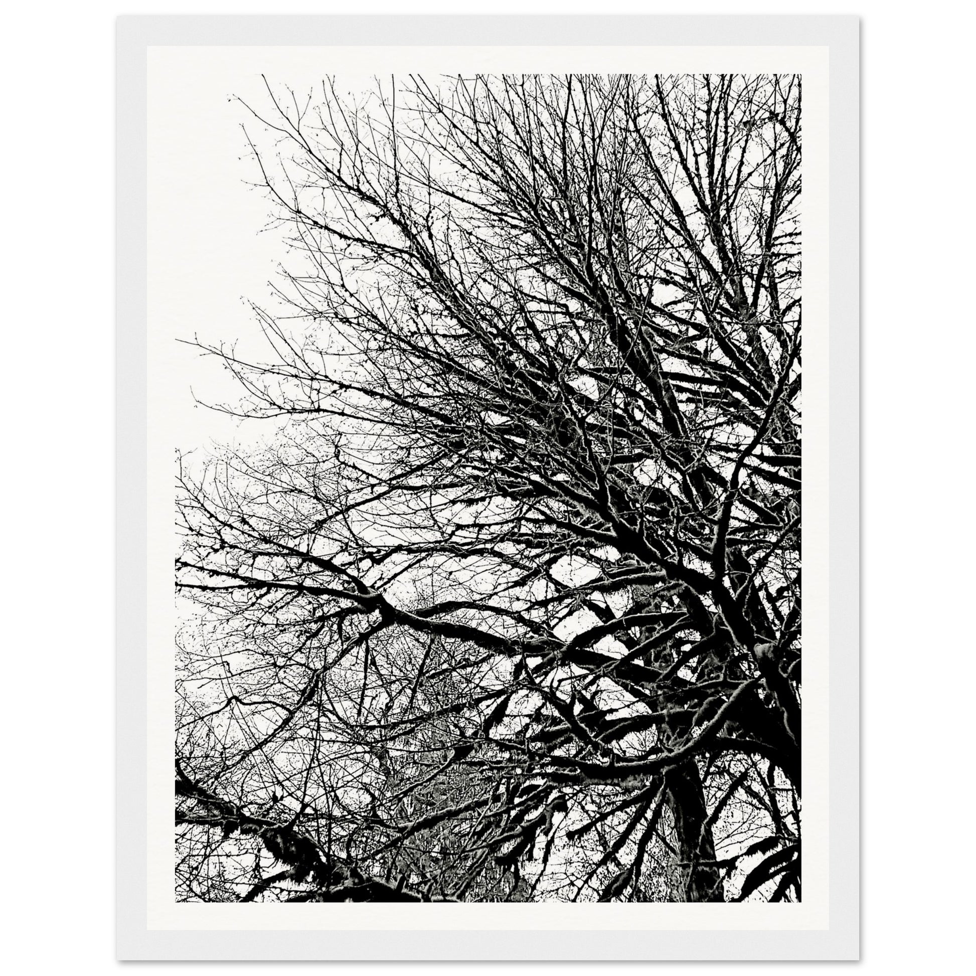 67fc4167-f586-45f0-a9cc-78559b3de6a3