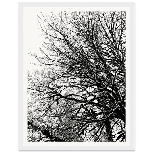 67fc4167-f586-45f0-a9cc-78559b3de6a3