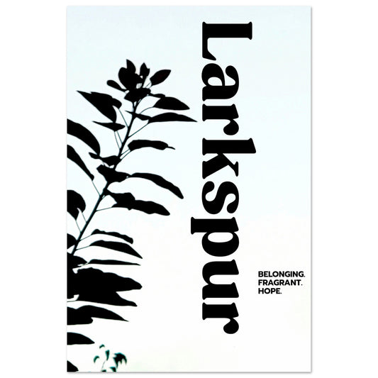 6a26405d-7e3e-4c9f-ad47-30d89f7fd644