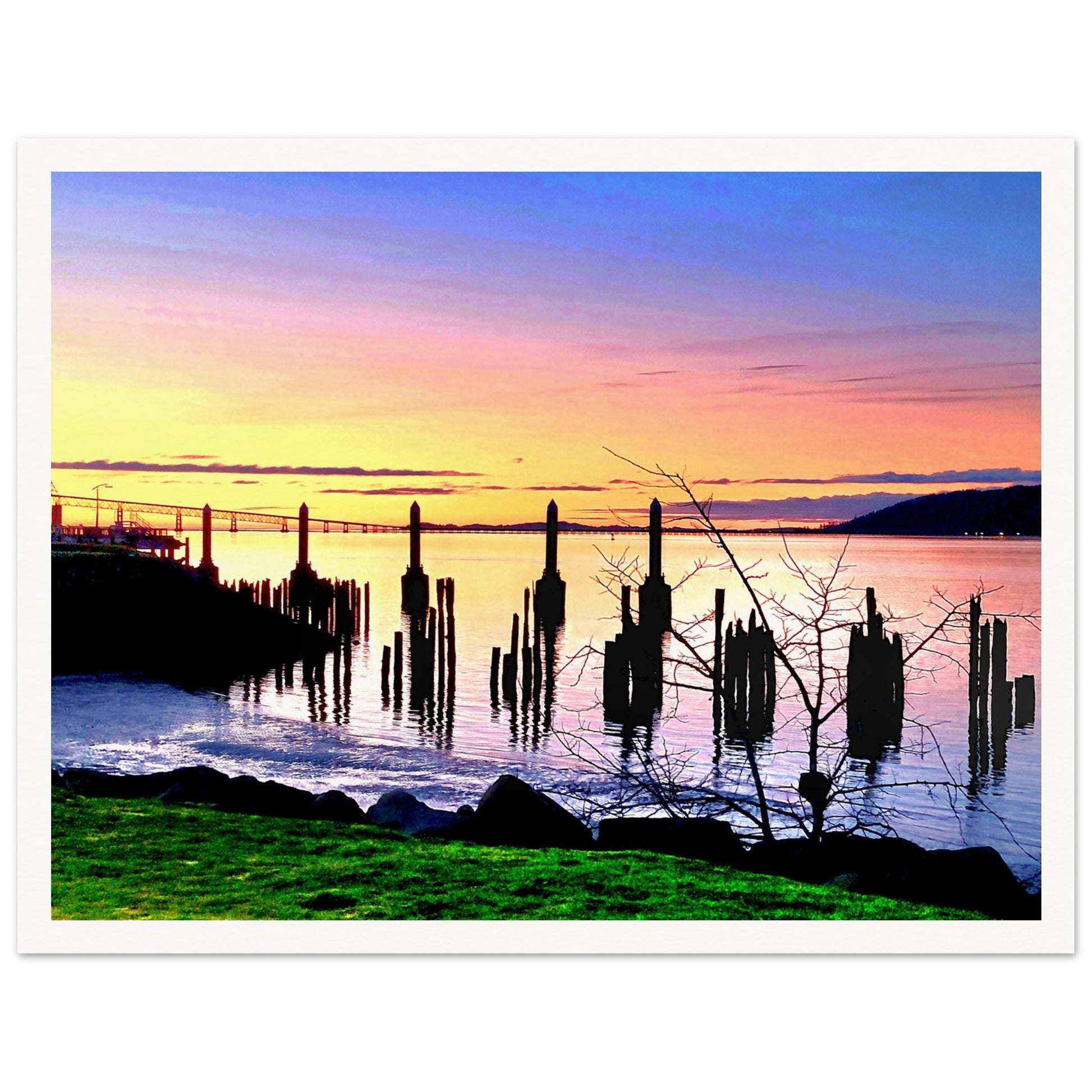 6c6b8872-11bb-4404-9b27-859f16506fc0