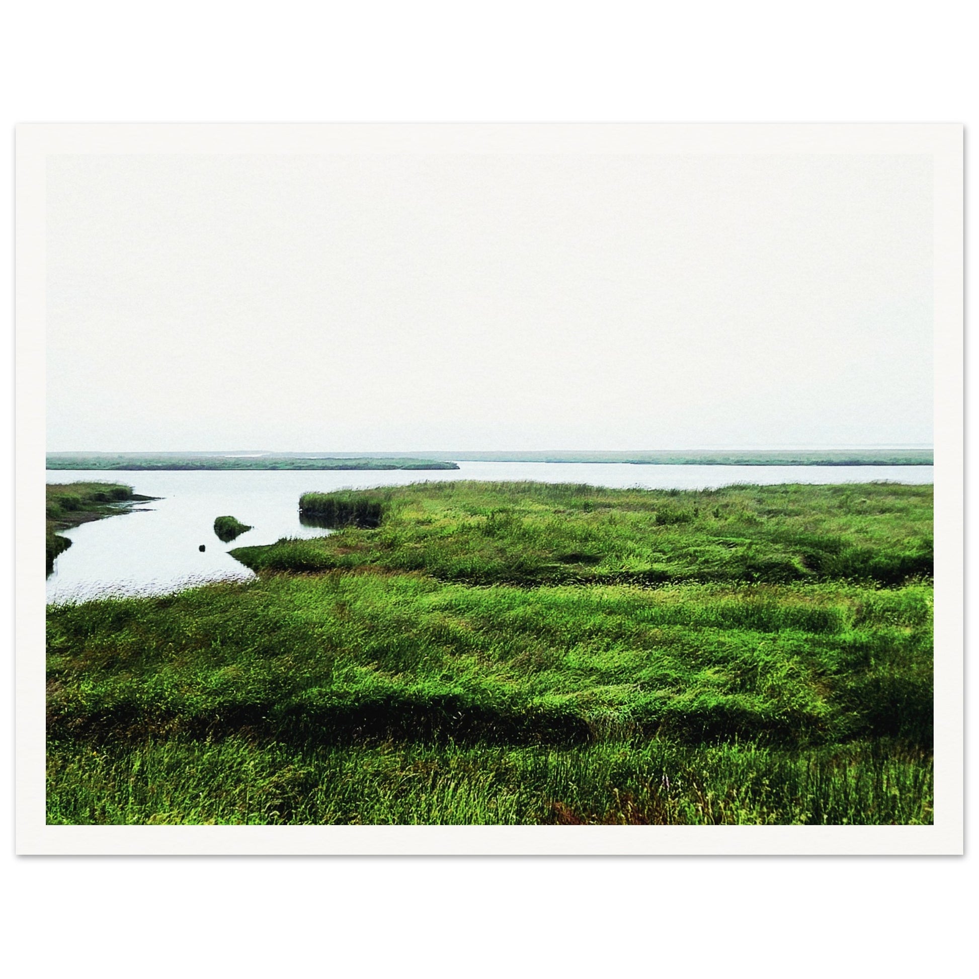 6d133265-d852-4d6d-ad80-6806c74cefd8