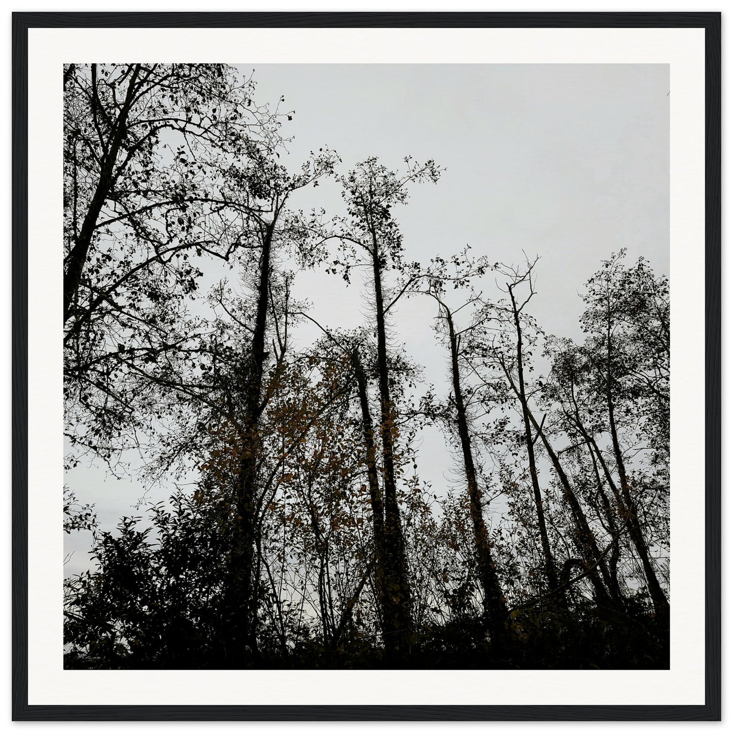 72ec4af0-a90c-4320-b09b-a5d6e1c11eef