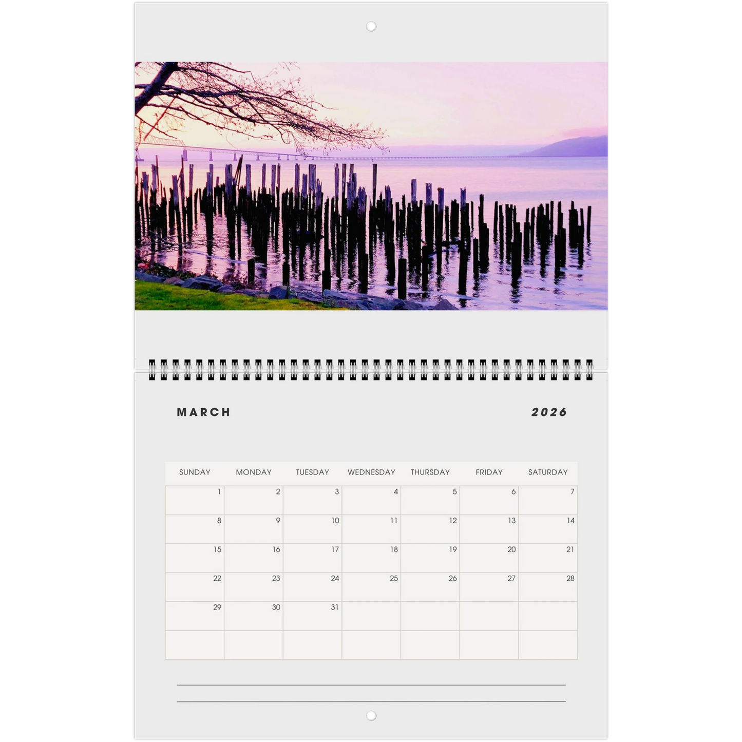 77fc79b8-e1ee-4f82-be71-08afc65dd3b5