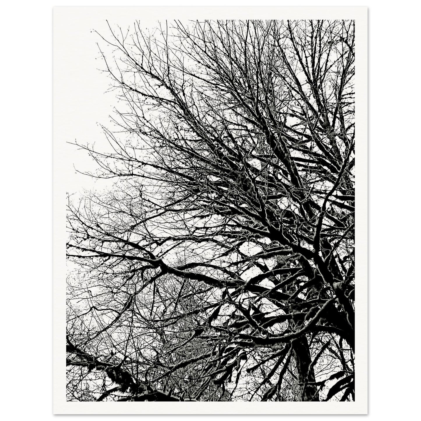 79724bb6-22e7-473d-b8c0-04573e9d57e4