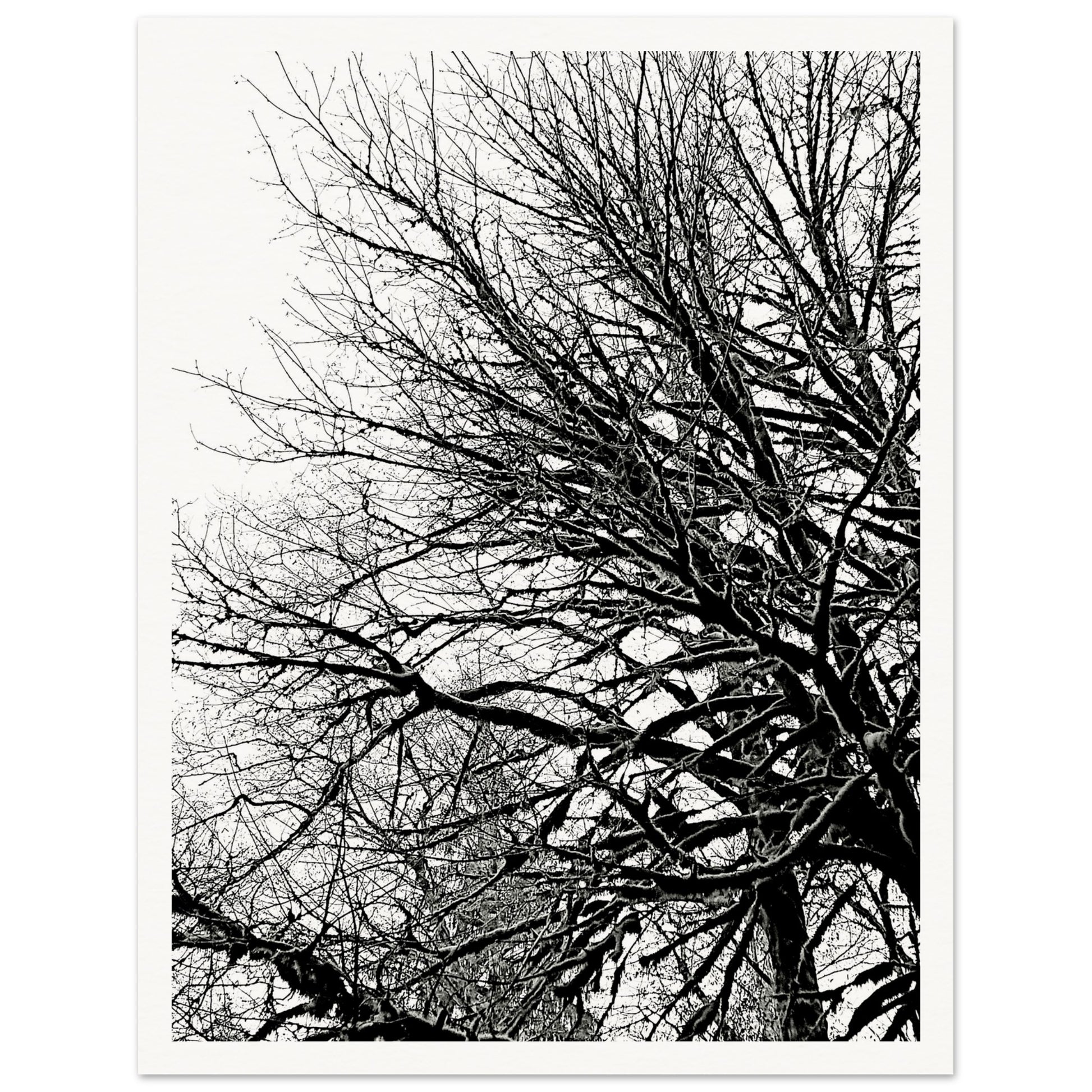 79724bb6-22e7-473d-b8c0-04573e9d57e4