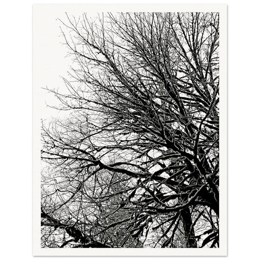 79724bb6-22e7-473d-b8c0-04573e9d57e4