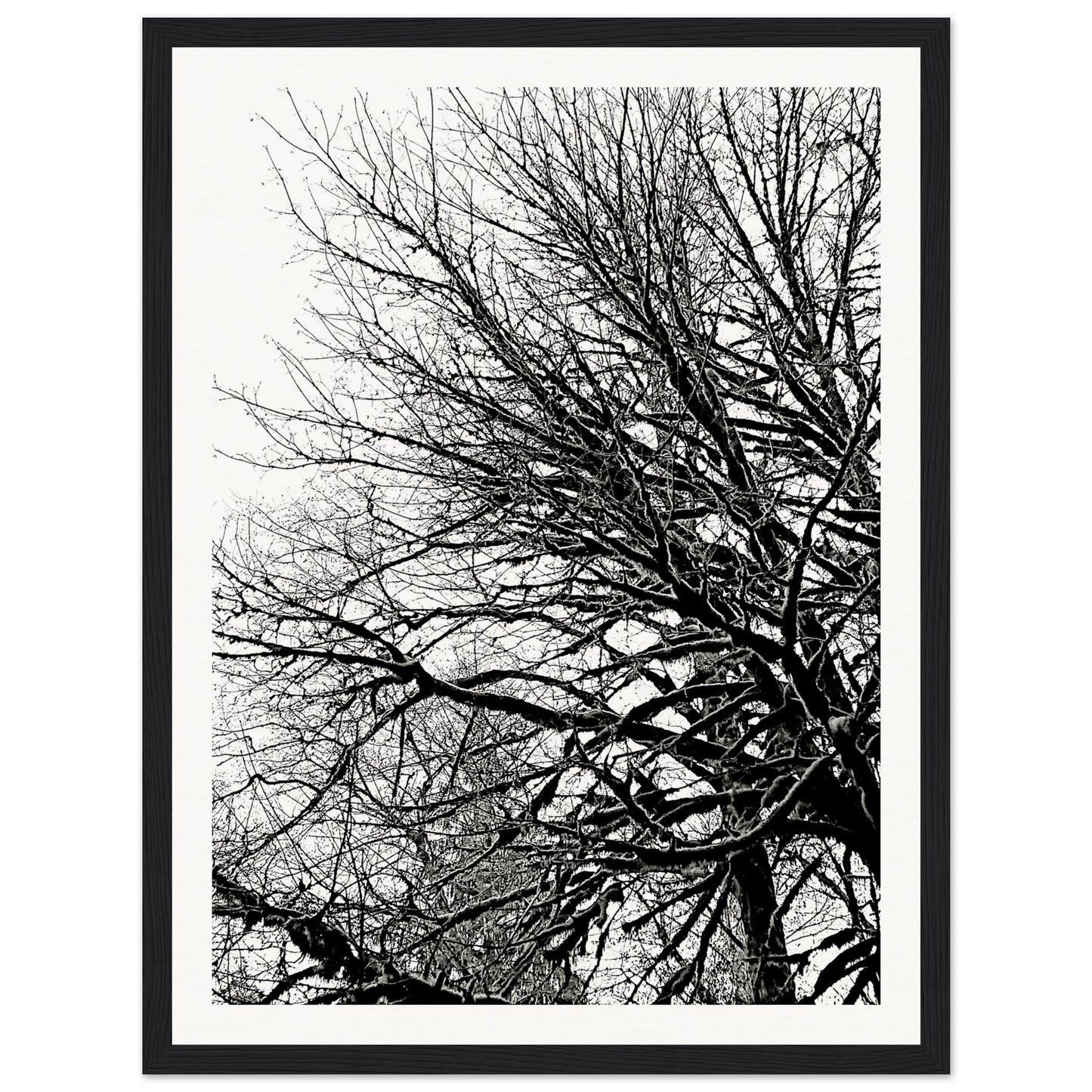 840fde19-cdfe-4862-9881-1d4682593081