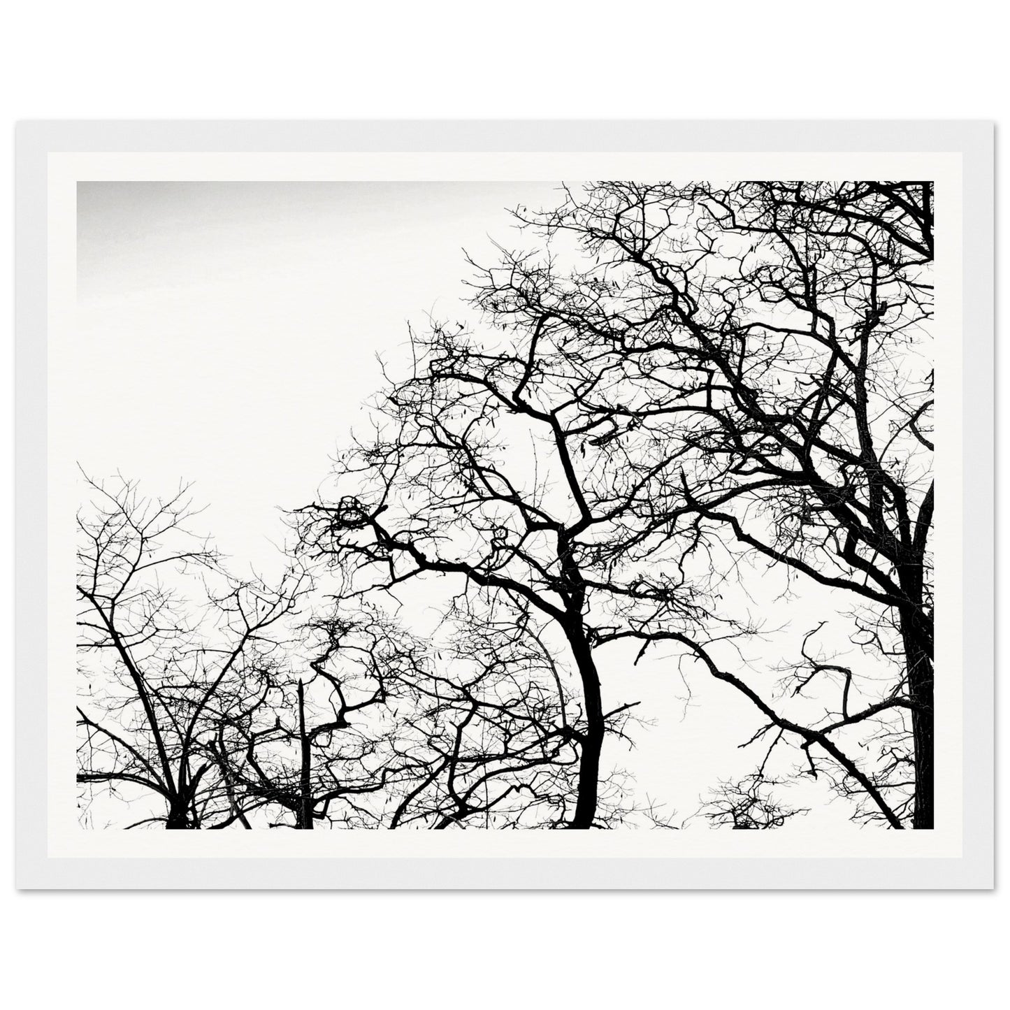 88d67cea-7b66-408a-9eb2-15118e872f1b