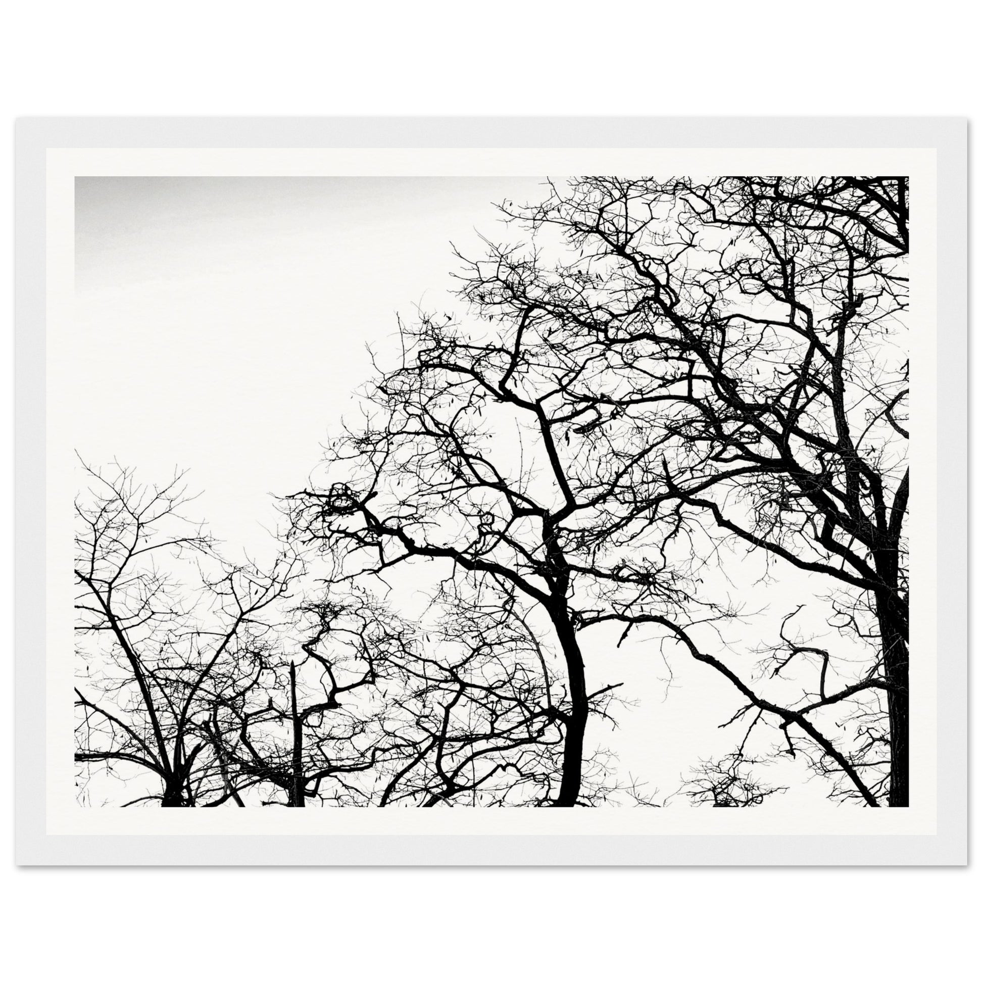 88d67cea-7b66-408a-9eb2-15118e872f1b