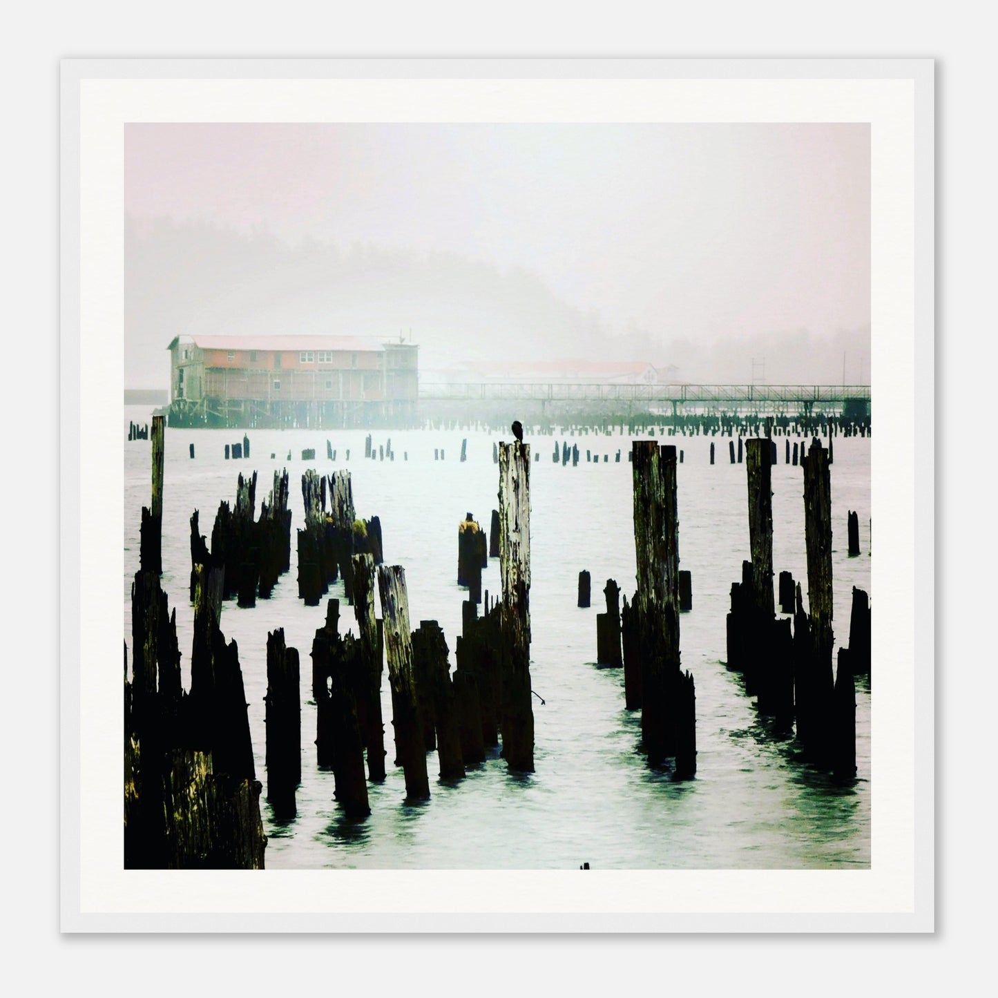 89e2aa98-2e2d-499d-9c0d-284bc9089f11