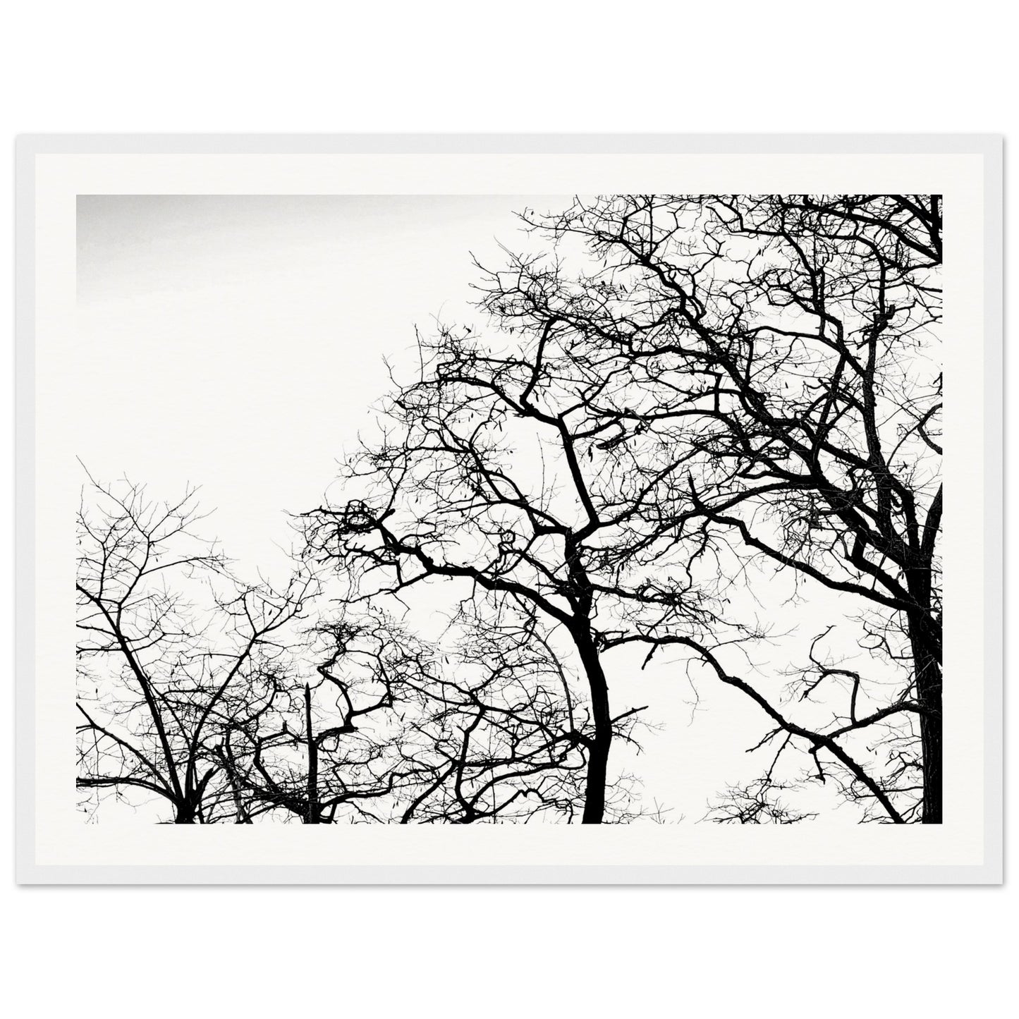 8da8a082-5a4f-4564-8569-8fc3e22dad2a