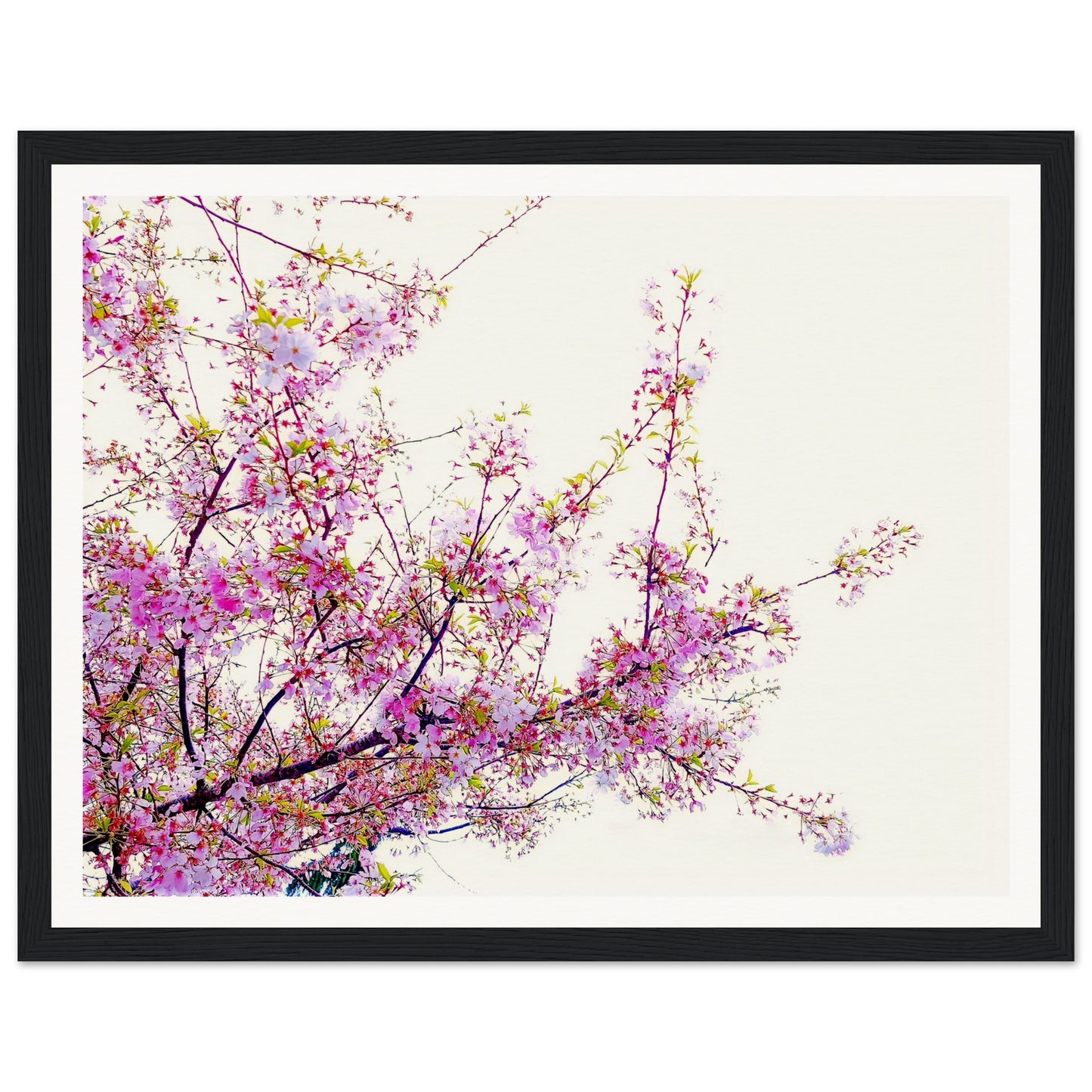 92255601-83da-4e95-b01c-21d8053ea713