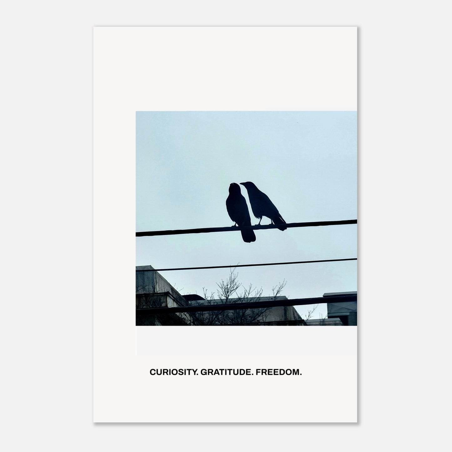 92f727b7-7cb8-4e33-953c-8b899136ea7b