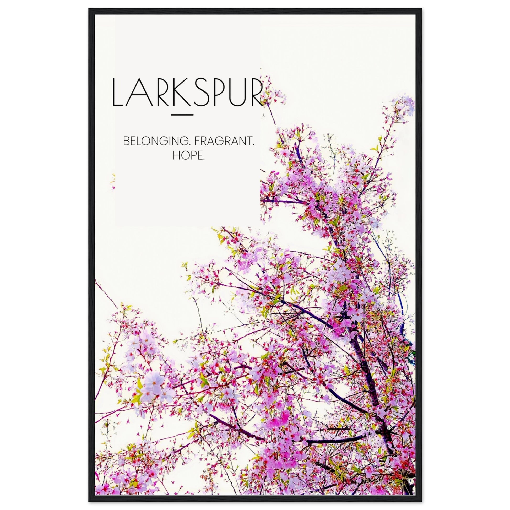 971472dd-63ad-4fa1-b288-6a5eff0d3fe2