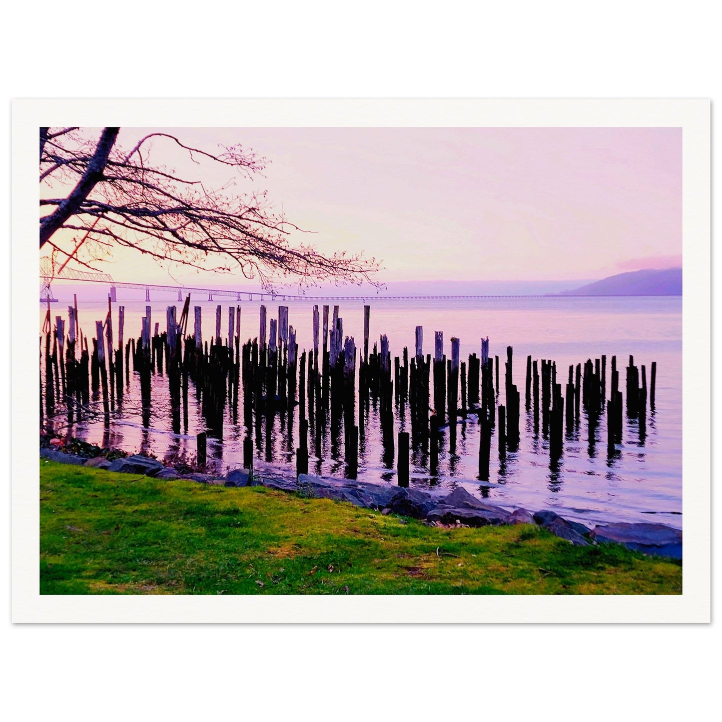 9b9bac8a-be9b-468d-abfc-40f700ffa58f