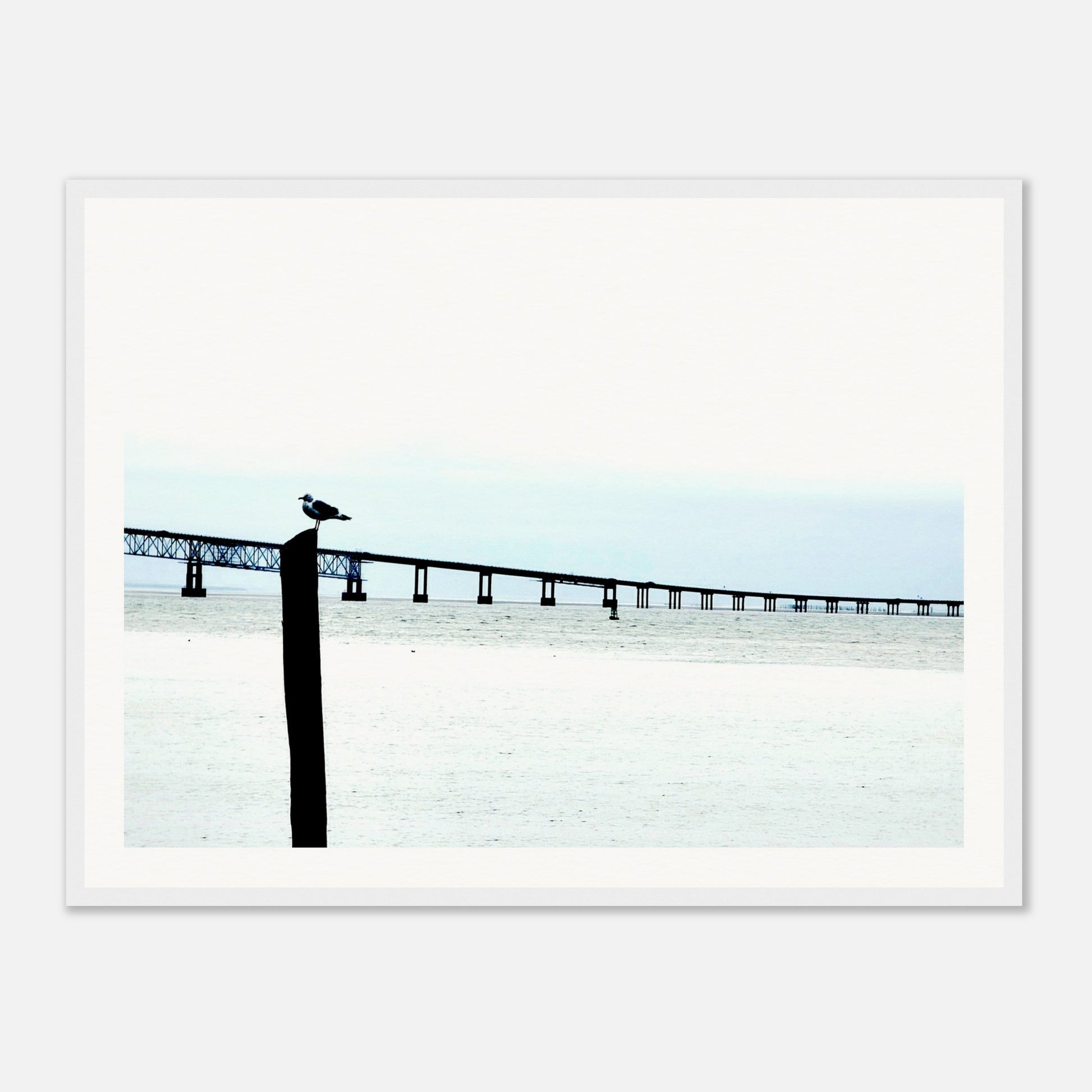 9df35c46-aa39-4be8-90fe-38ff5267d5f8