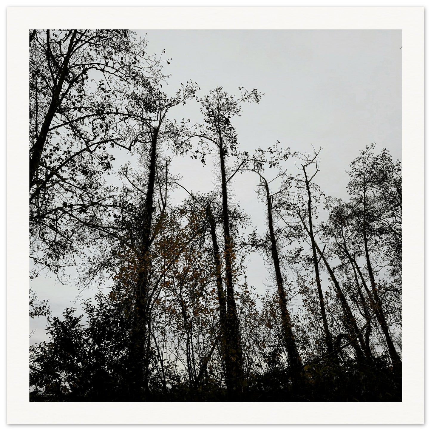 a2bccd03-1e6a-4acf-8936-ab772dc74e5f