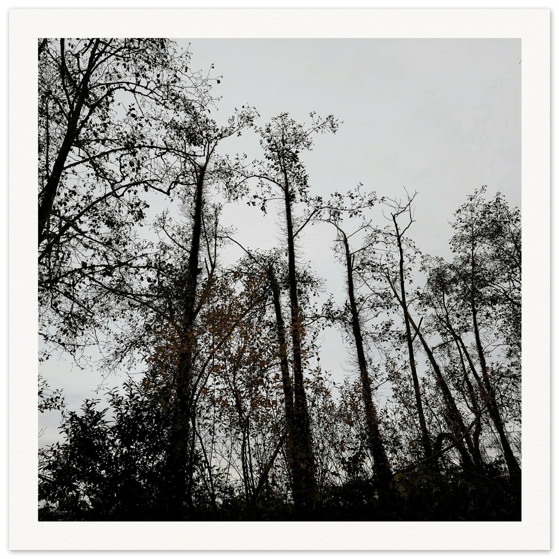 a2bccd03-1e6a-4acf-8936-ab772dc74e5f