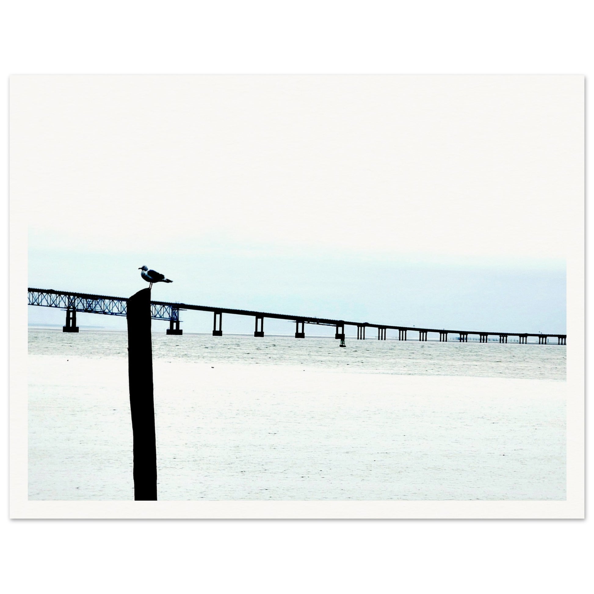 a38b92cd-de28-4f79-9406-1c32c279265a