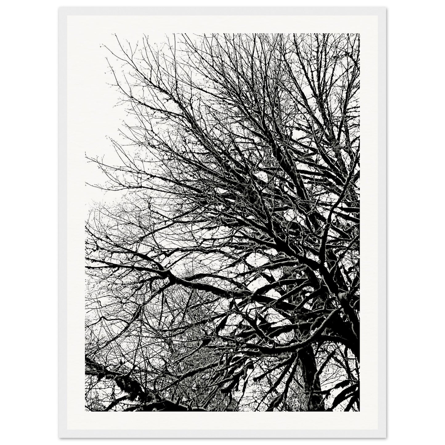 a3d19095-b71c-436d-a16f-d2467468b005